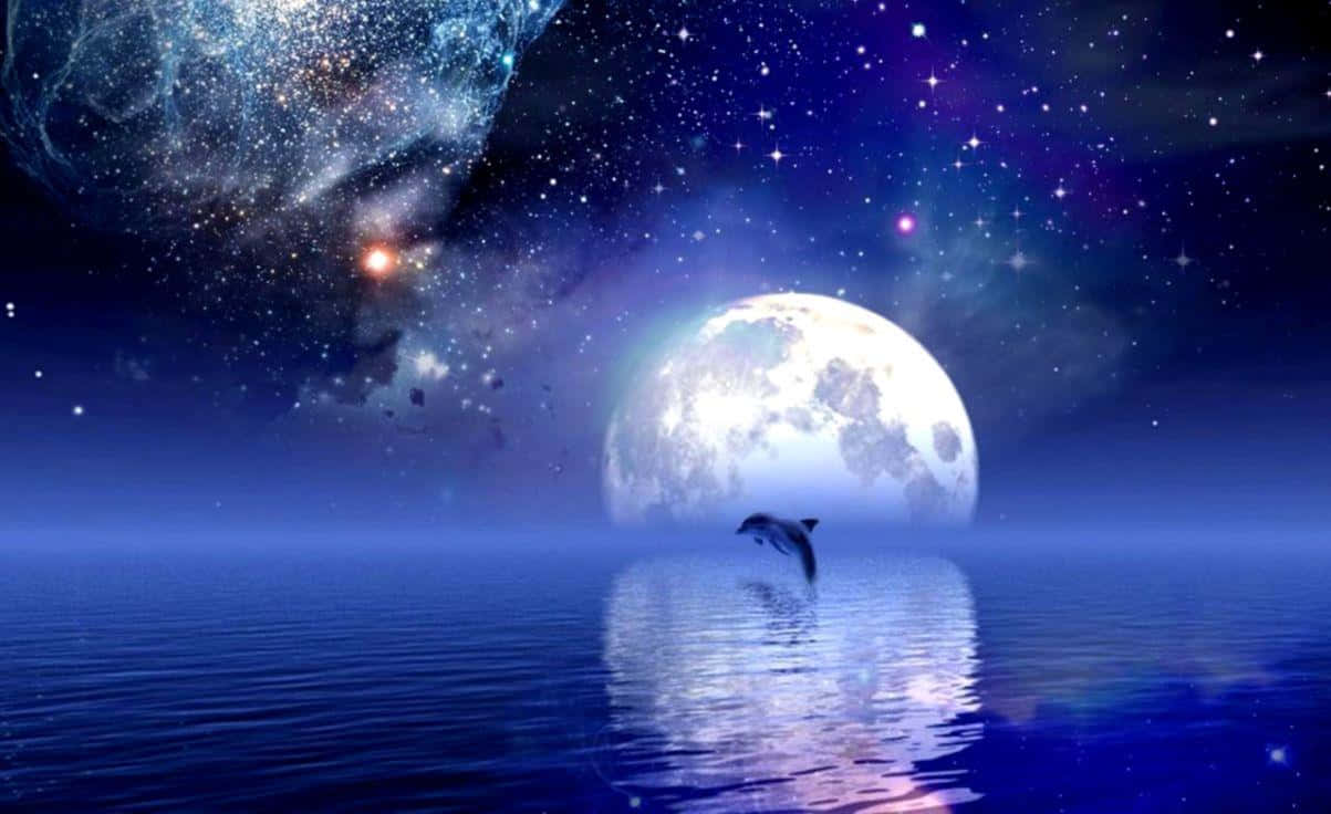 Moonlight 桌布 壁紙 — 一隻海豚在巨大的月亮和星空宇宙下從發光的藍色水中躍起。