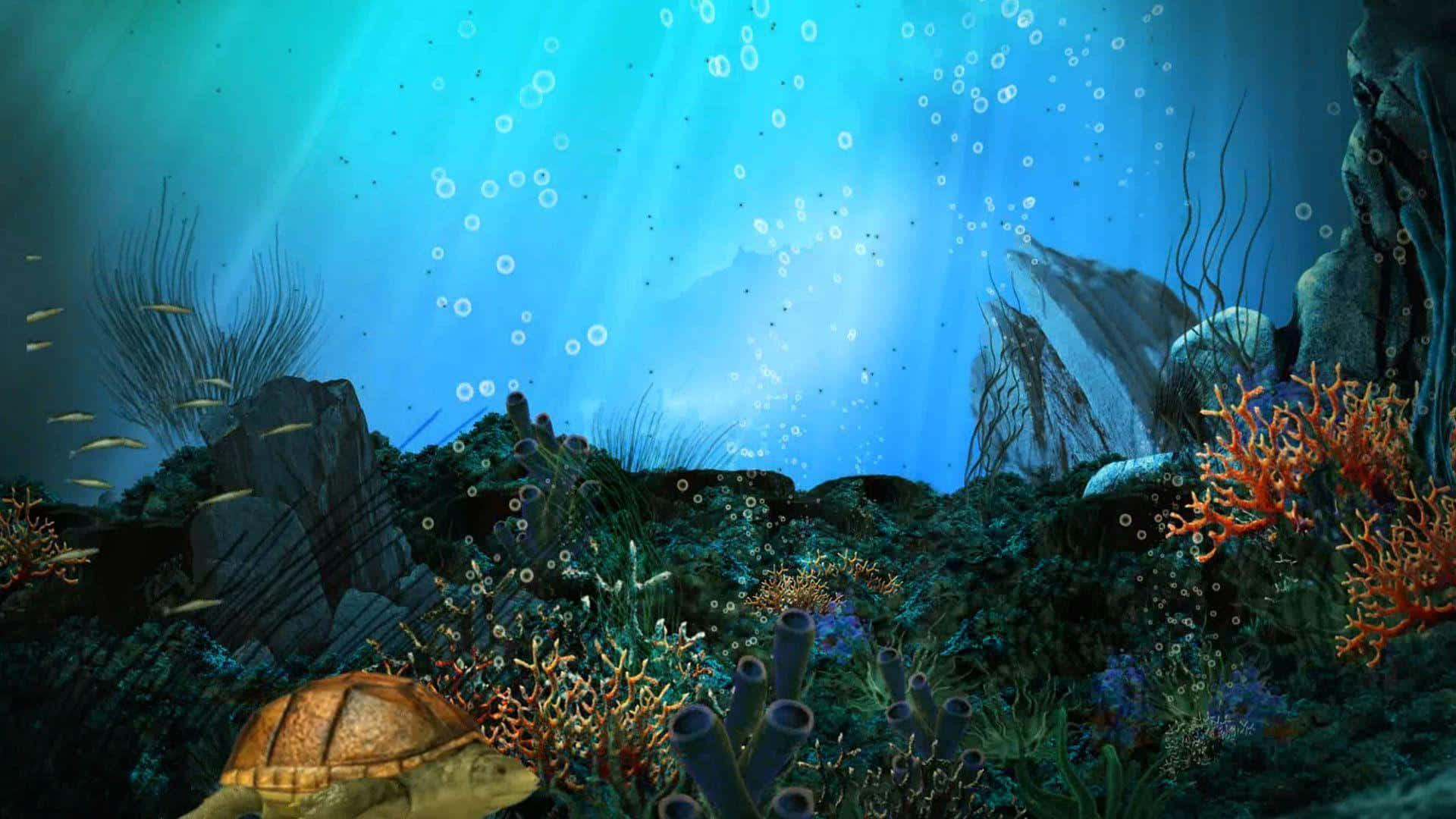Aquatic 桌布 壁紙 — 一隻海龜在充滿活力的珊瑚礁中滑行，沐浴在從上方過濾下來的藍色陽光中。