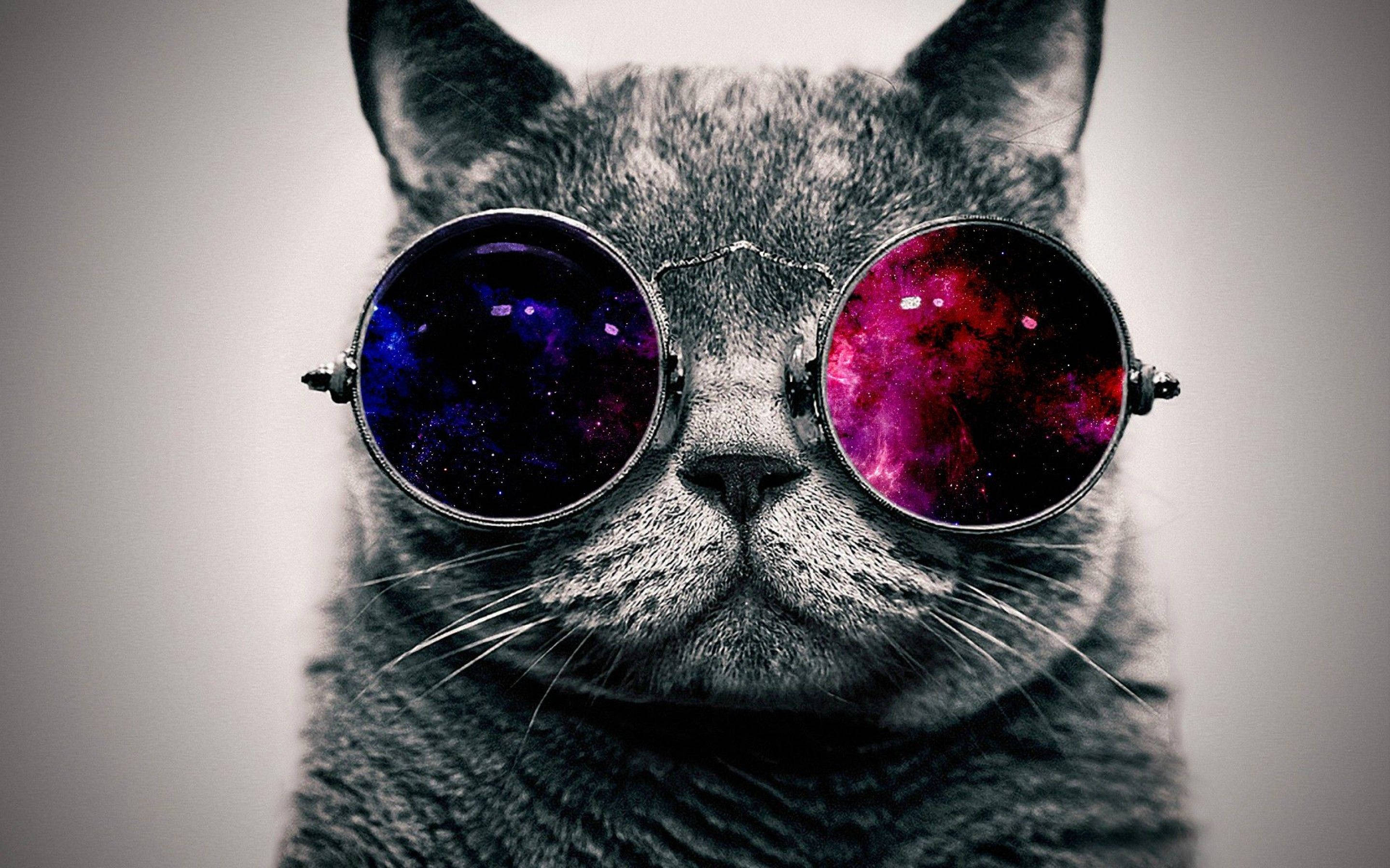 動物 桌布 壁紙 — 一隻灰色的貓戴著圓形太陽眼鏡，鏡片反射出充滿活力的宇宙星雲，背景是柔和的灰色。
