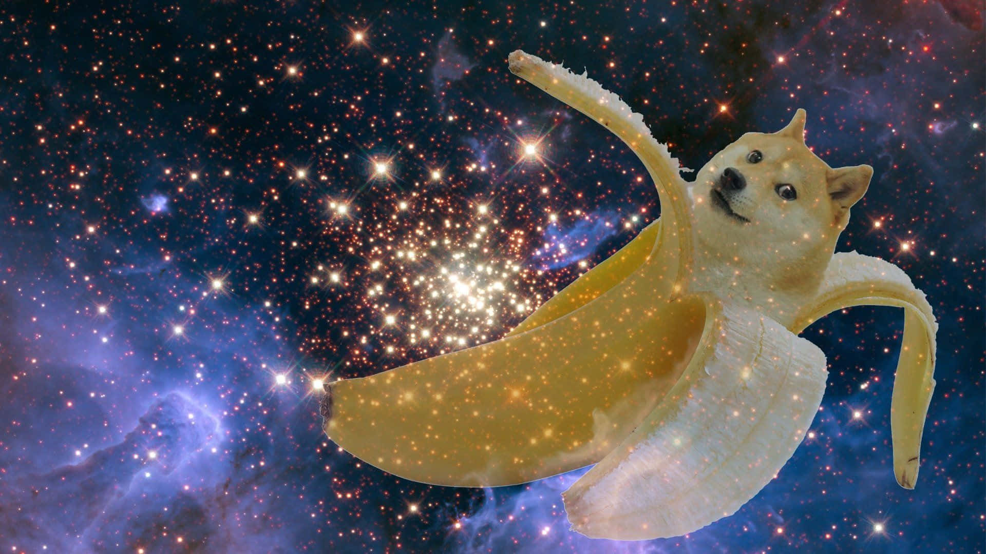 Dog Memes 桌布 壁紙 — 一隻狗狗迷因柴犬從漂浮在閃爍星雲中的香蕉皮中探出頭來。