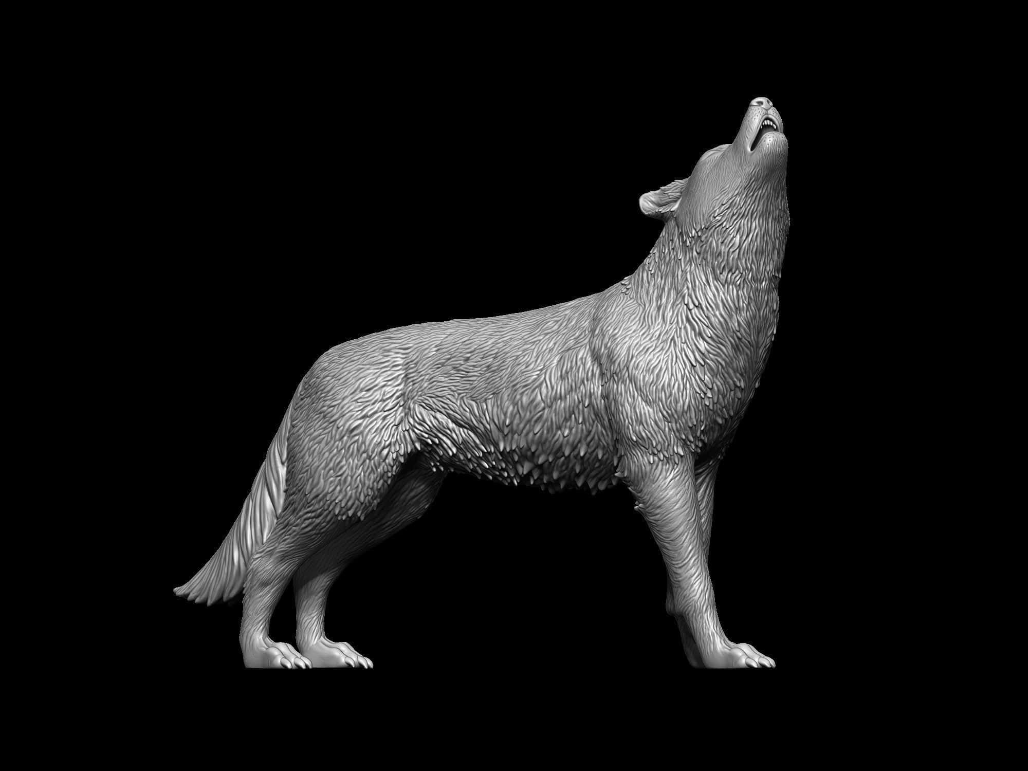 3d Wolf 桌布 壁紙 — 一隻狼對著純黑背景向上嚎叫的細緻灰階3D渲染圖。