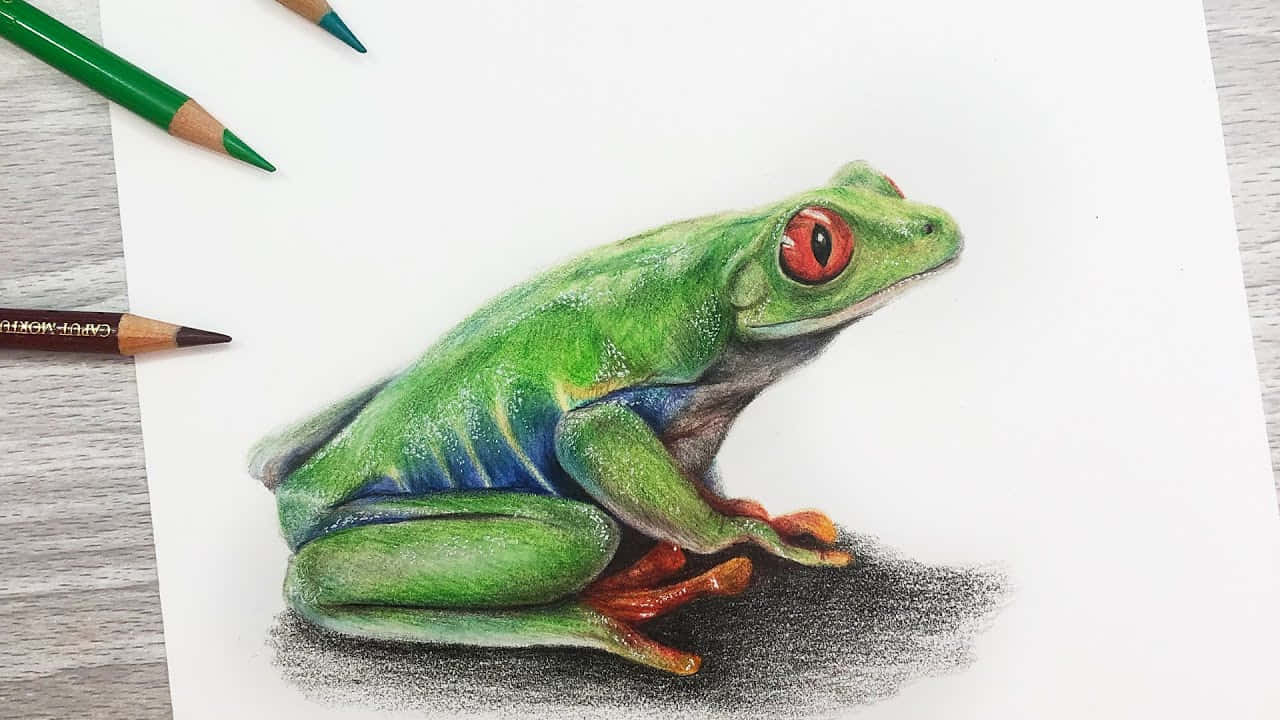 一幅詳細的彩色鉛筆畫，描繪了一隻紅眼綠色樹蛙。