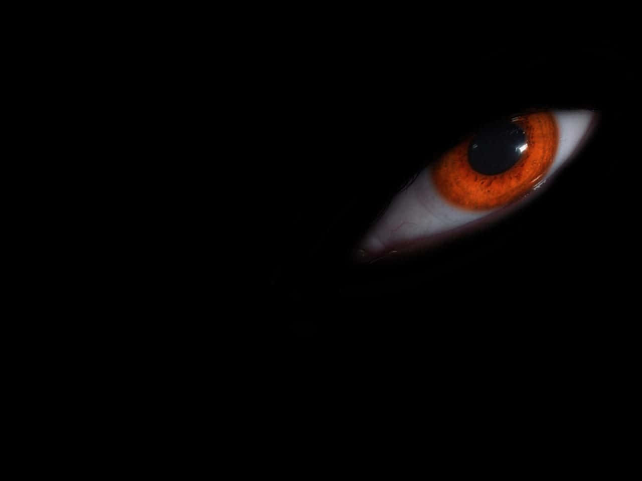 Eyes 桌布 壁紙 — 一隻發光的橙色眼睛從絕對的黑暗中凝視，營造出強烈而神秘的氛圍。