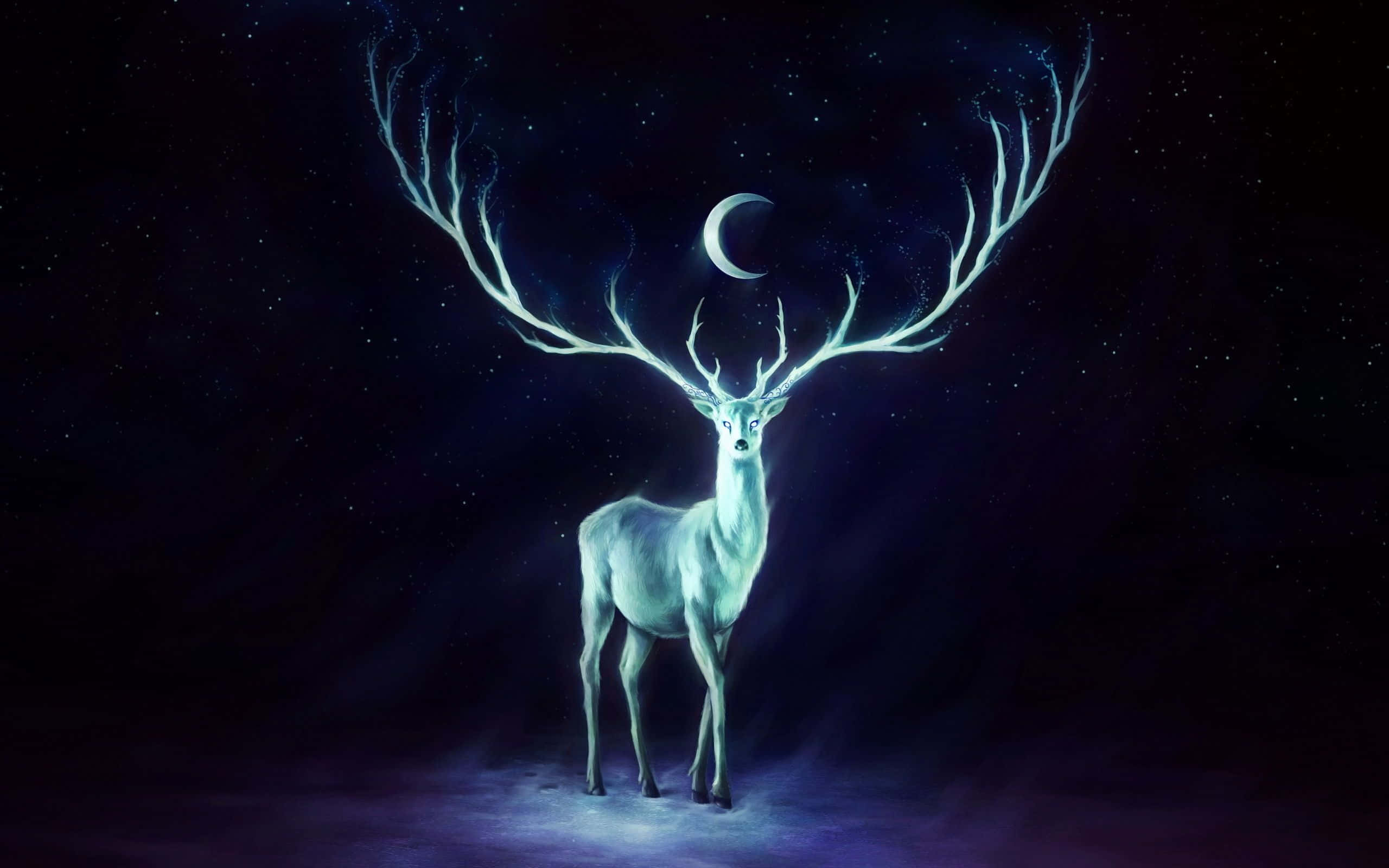 winter solstice 桌布 壁紙 — 一隻發光的白色雄鹿，帶有發光的鹿角，站在星夜天空下的新月之下。