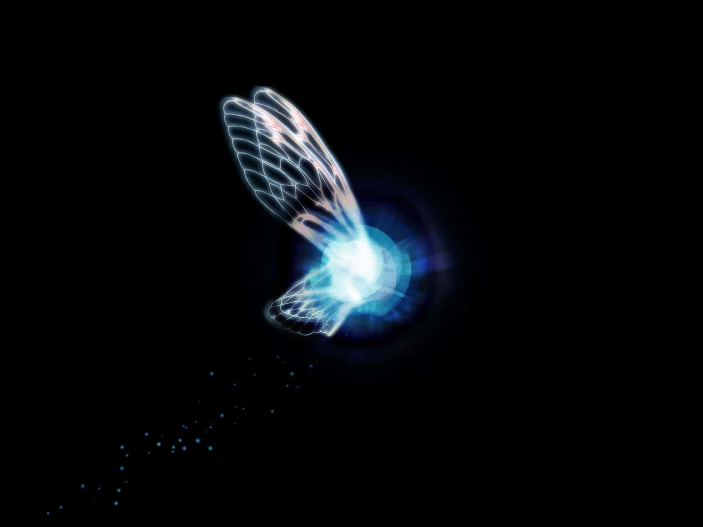 The Legend Of Zelda Navi 桌布 壁紙 — 一隻發光的藍翼生物，帶有輻射核心，在黑色虛空中飛翔，留下閃爍的粒子。