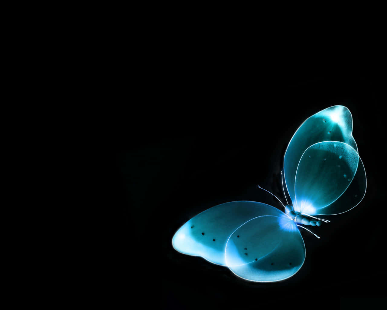 Emerging Butterfly 桌布 壁紙 — 一隻發光的藍色蝴蝶，擁有半透明翅膀和黑色斑點，漂浮在純黑色背景上。