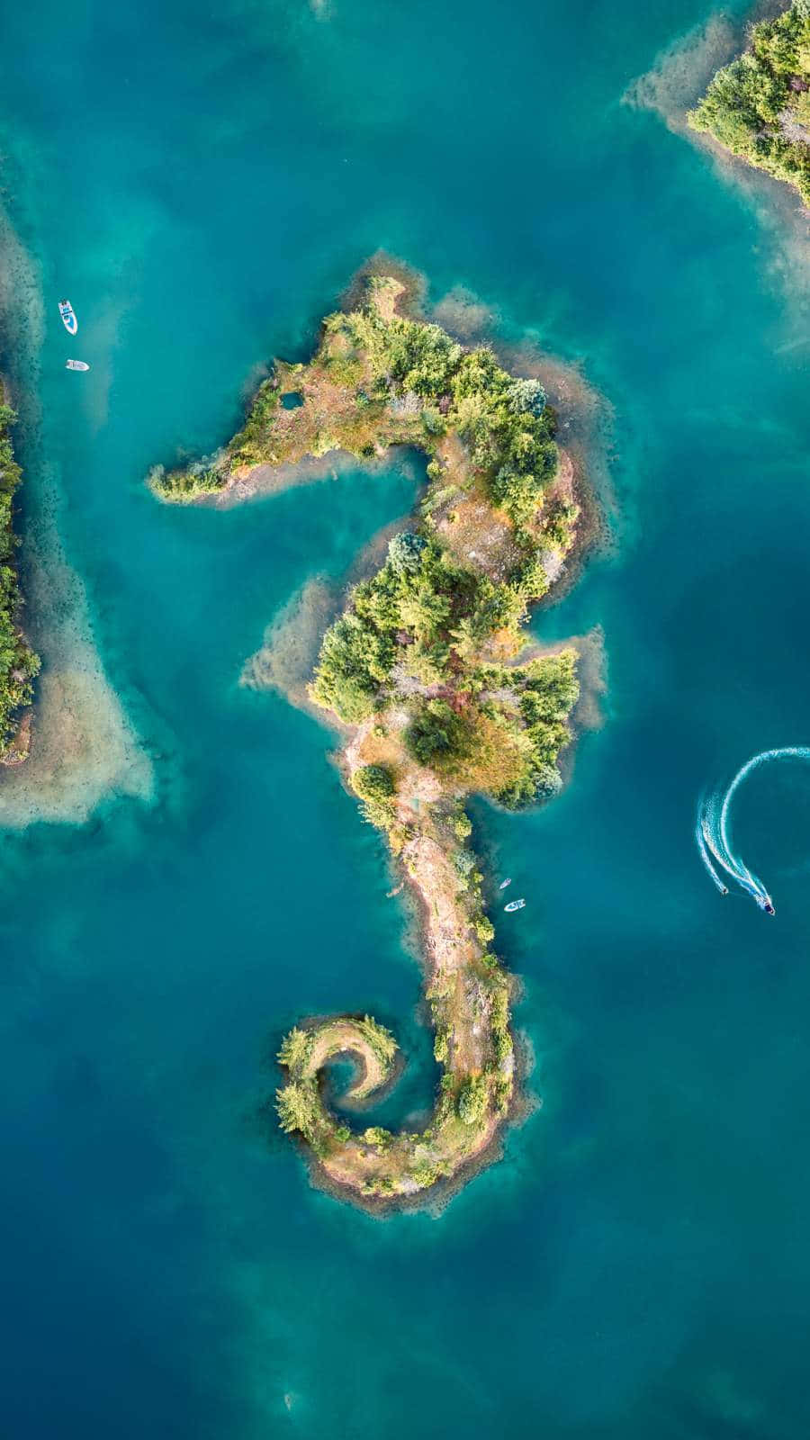 一隻神奇的海馬穿過海洋 壁紙 — 一個被綠色植物覆蓋、天然海馬形狀的島嶼的鳥瞰圖，周圍是碧綠的海水，附近有船隻。