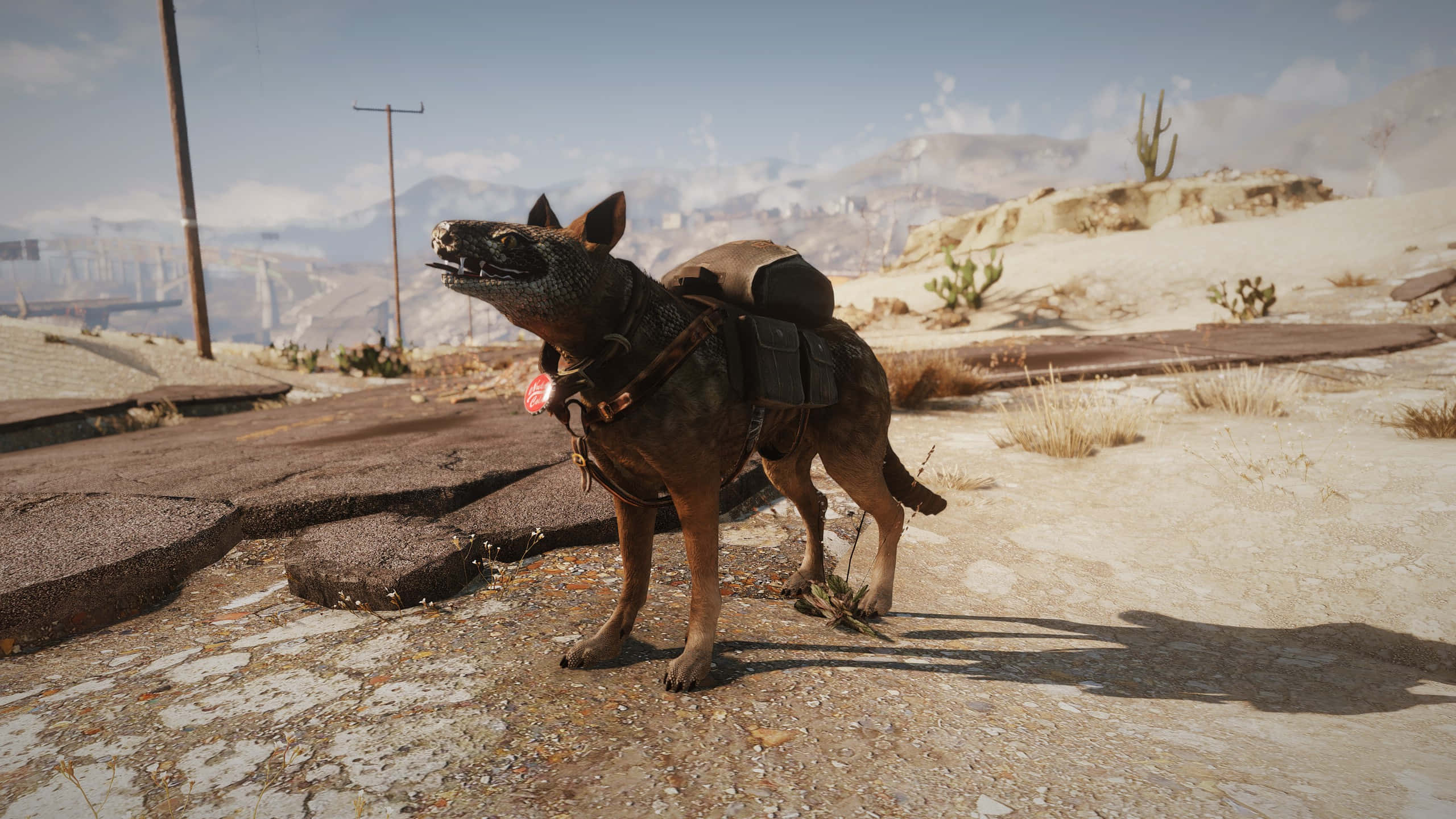 Fallout 4 Dogmeat 桌布 壁紙 — 一隻穿著戰術裝備的狗警覺地站在陽光明媚的沙漠荒地中龜裂的路面上，遠方有山脈和仙人掌。