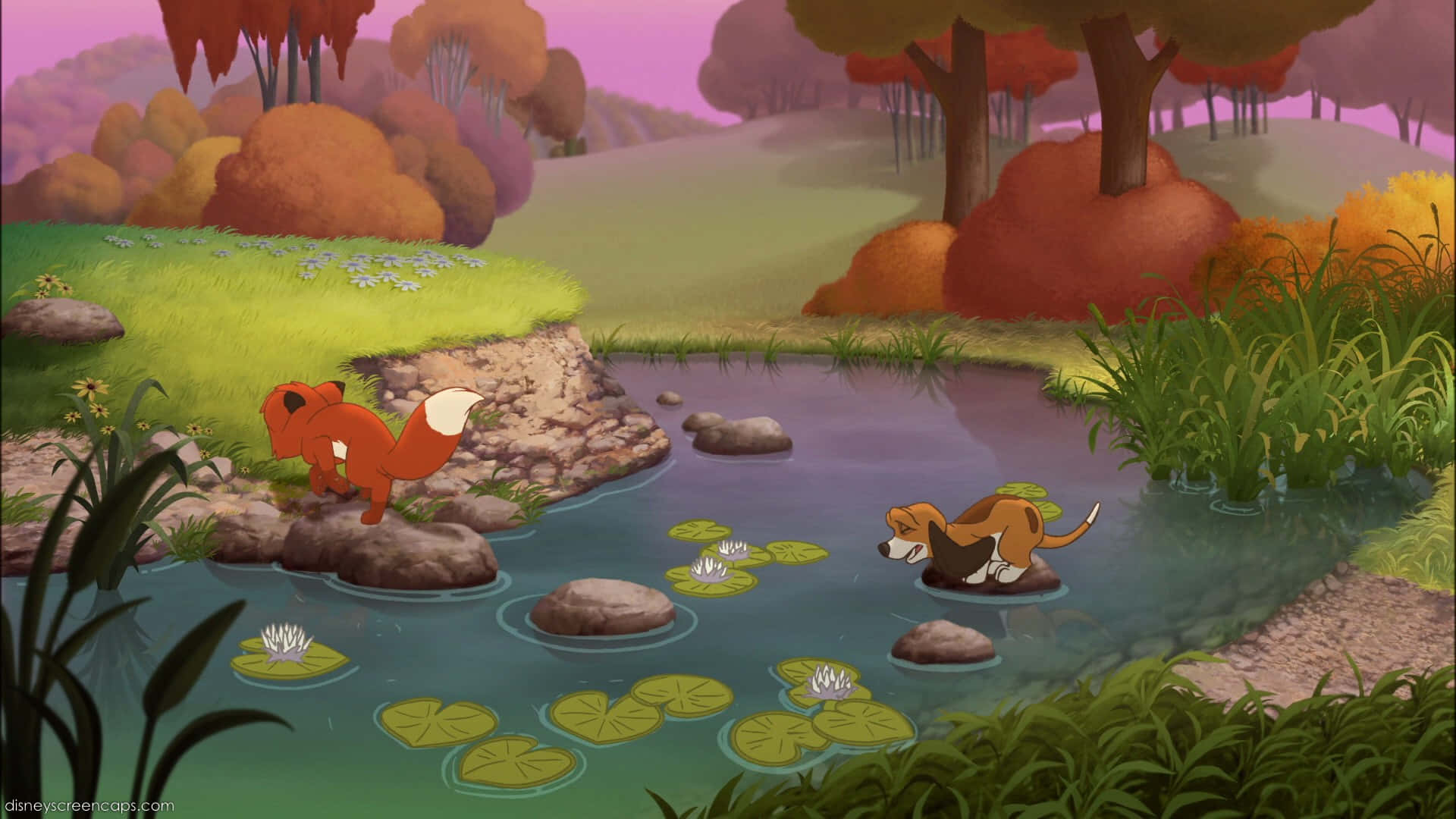 the fox and the hound 桌布 壁紙 — 一隻紅狐和一隻比格犬在柔和的紫色天空下，探索一個被秋樹環繞、有睡蓮的寧靜池塘。