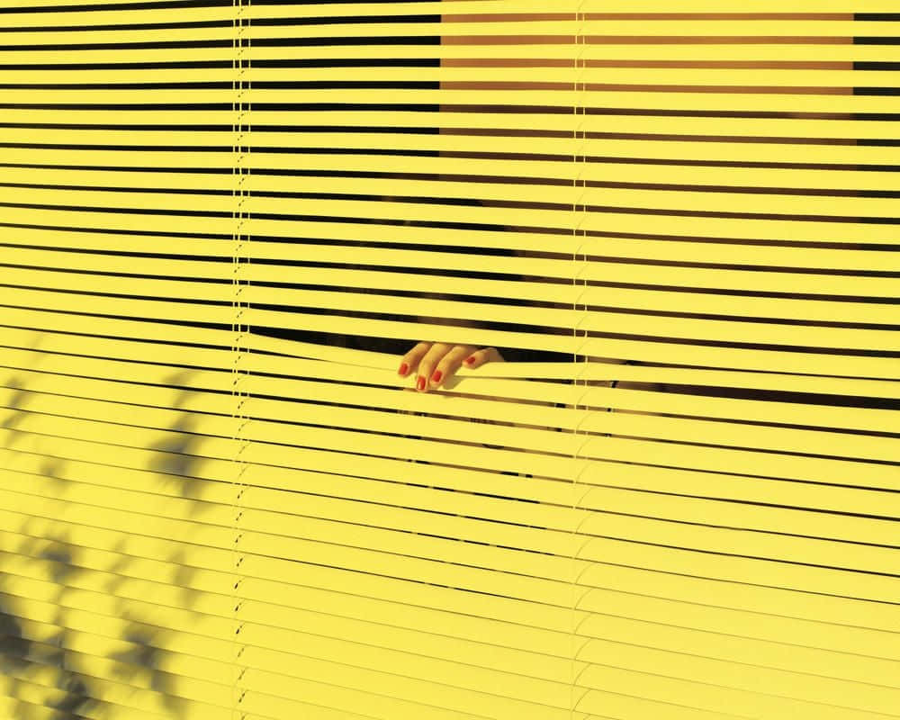 Aesthetic Yellow 桌布 壁紙 — 一隻紅色指甲的手從明亮的黃色橫向百葉窗中探出，投下樹影。