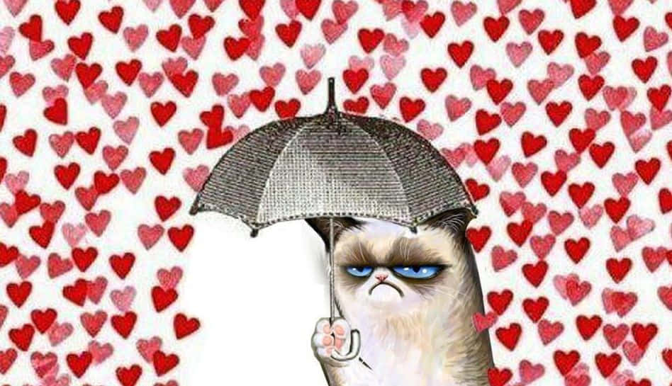 Holiday Memes 桌布 壁紙 — 一隻脾氣暴躁的貓拿著閃閃發光的雨傘，背景是紅色心形。