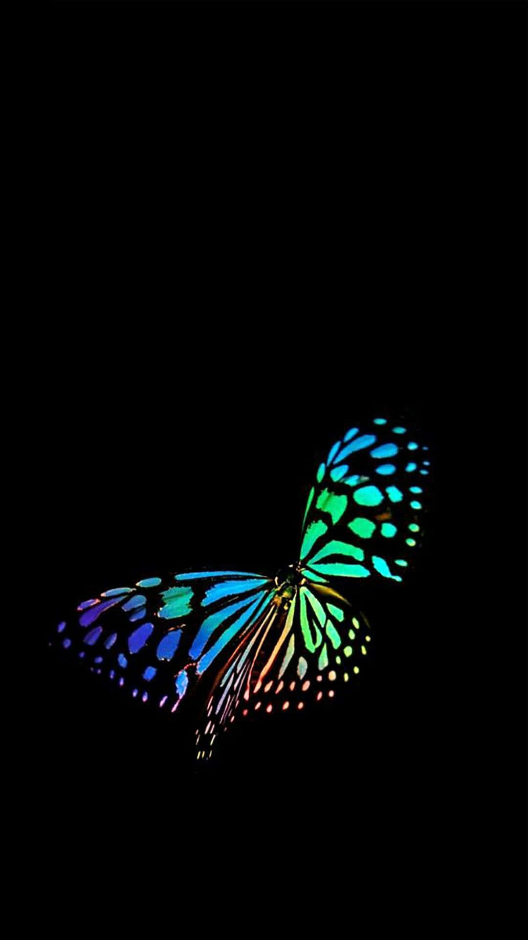 Dark Butterfly 桌布 壁紙 — 一隻色彩鮮豔的彩虹蝴蝶，帶有發光的藍色、綠色和紫色翅膀，在純黑色背景上飛翔。