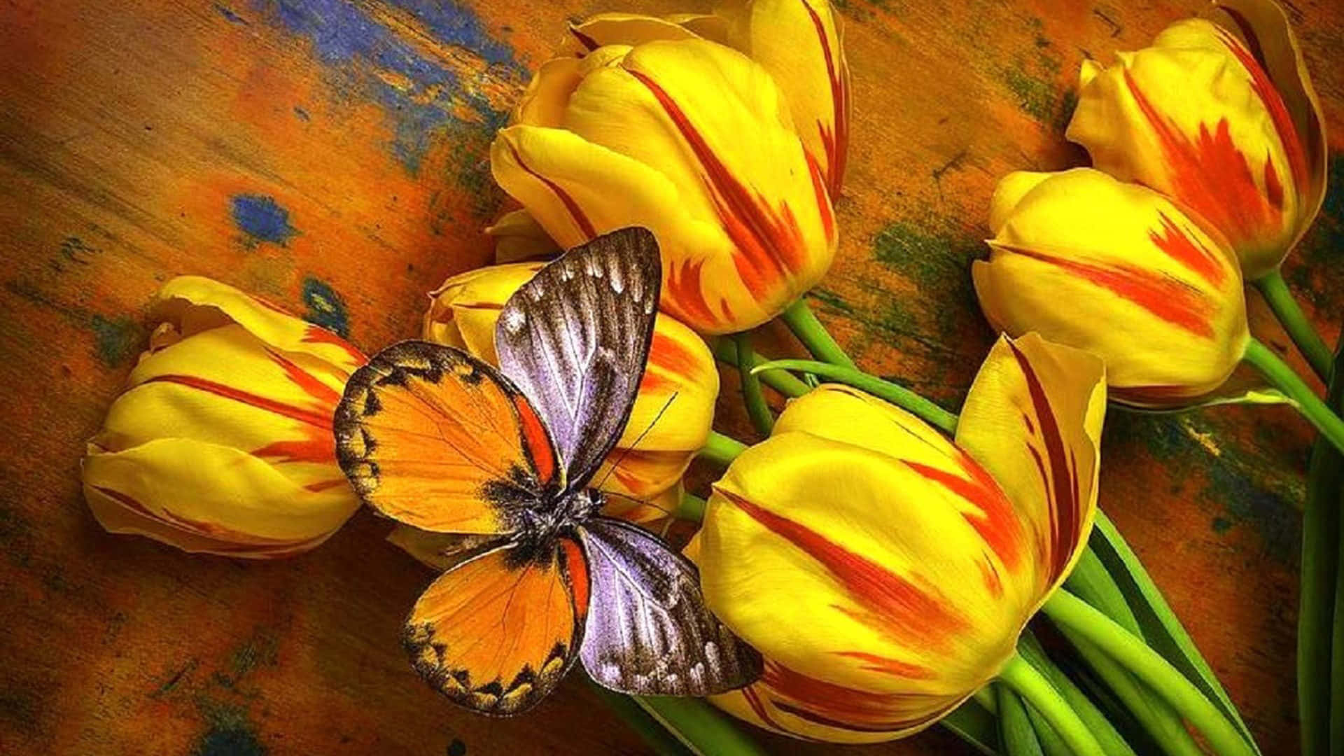 Yellow Tulips 桌布 壁紙 — 一隻色彩鮮豔的蝴蝶，翅膀呈橙色、紫色和黑色，停留在帶有紅色條紋的黃色鬱金香之間，背景是質樸的木質表面。