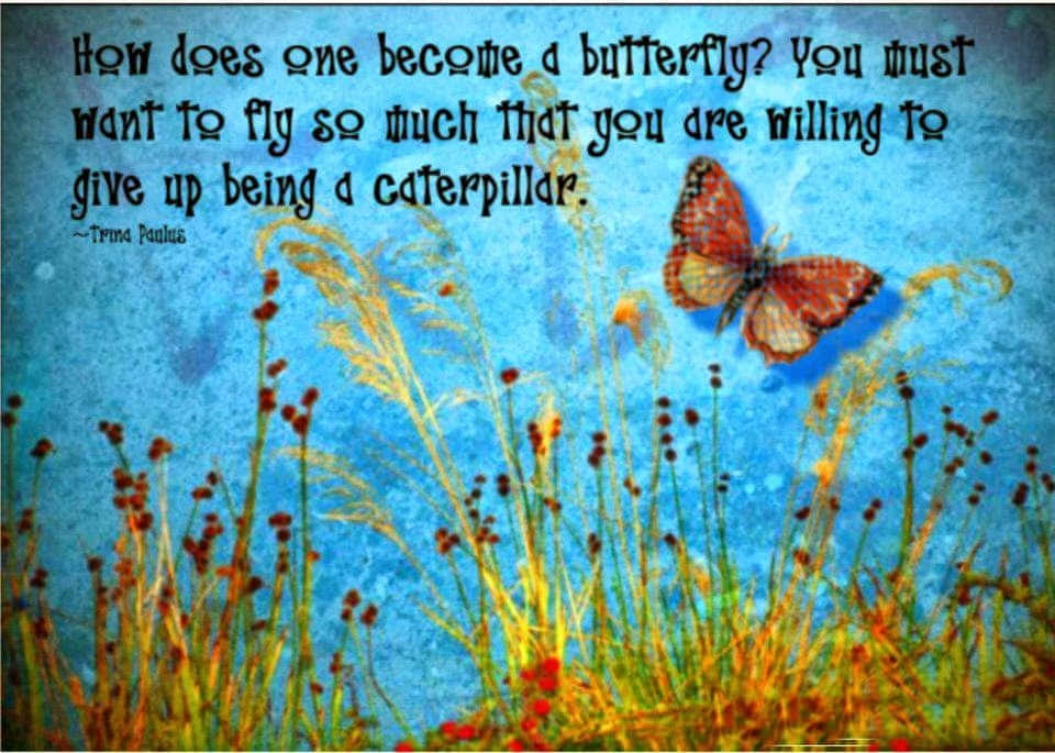 Butterfly Quotes 桌布 壁紙 — 一隻色彩鮮豔的蝴蝶在金色草地上翩翩起舞，背景是帶有紋理的藍天，並疊加了一句鼓舞人心的名言。