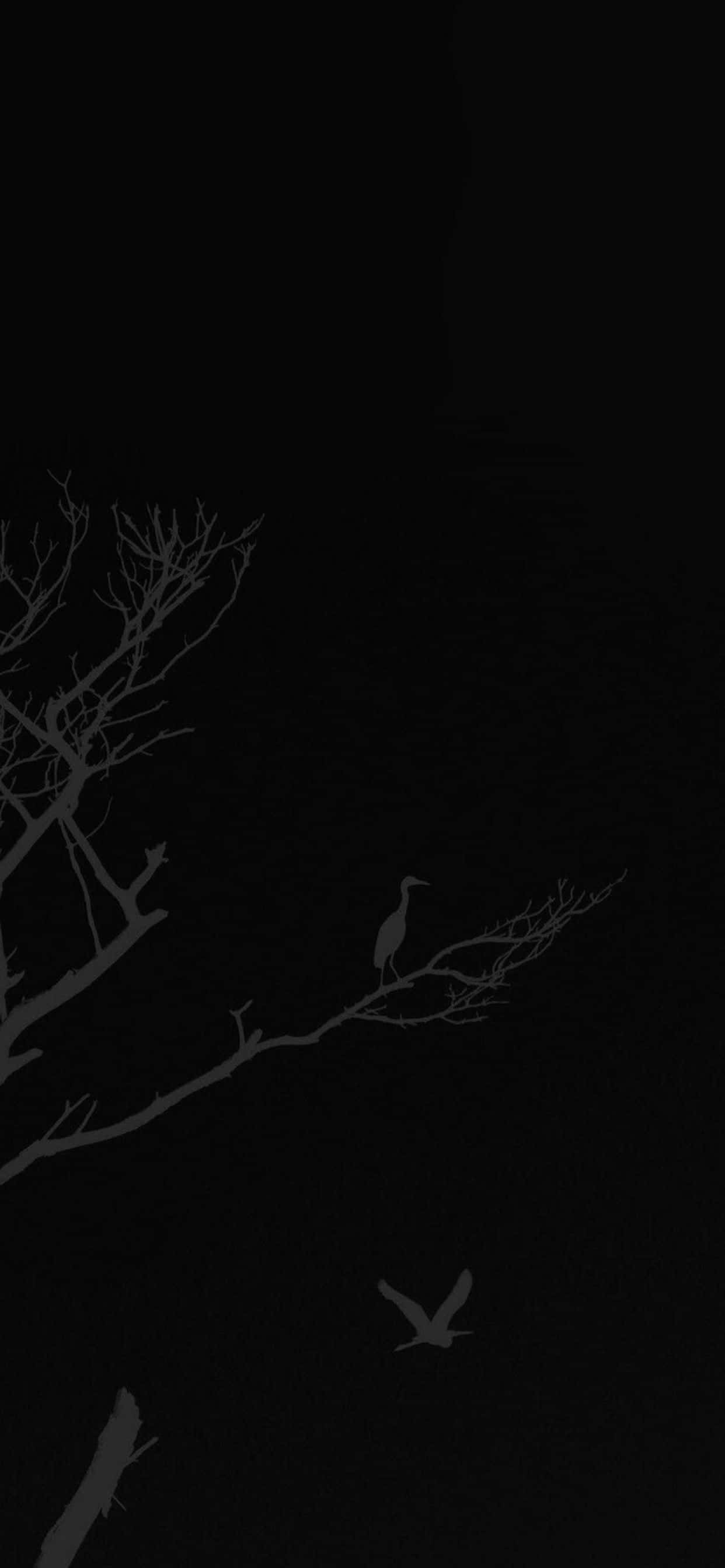 Minimalist Phone 桌布 壁紙 — 一隻蒼鷺棲息在光禿禿的樹枝上，襯著深邃的黑色夜空，另一隻鳥在飛翔，形成鮮明的剪影。