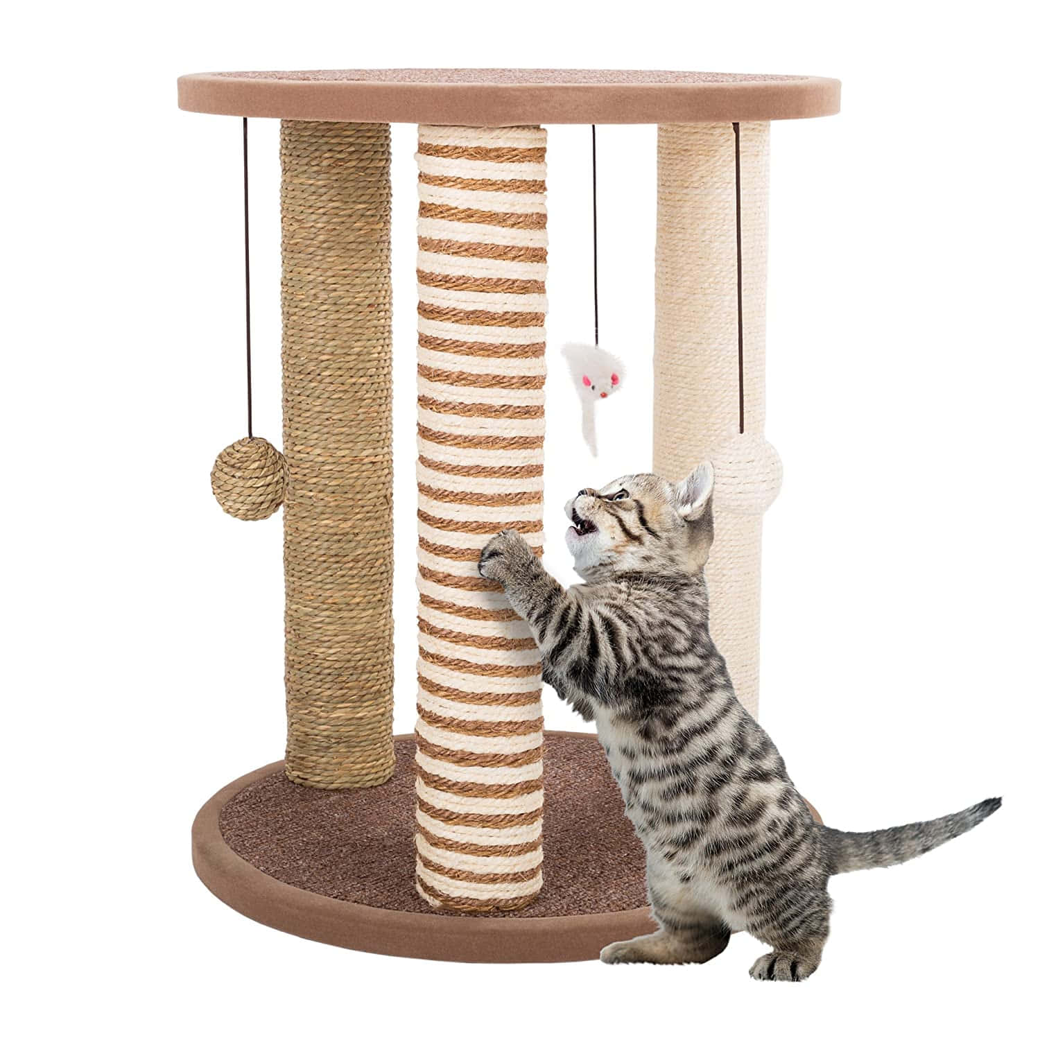 Cat Scratching Post 桌布 壁紙 — 一隻虎斑小貓在攀爬帶有繩索抓柱的多柱貓樹時，撲向一個懸掛的玩具。