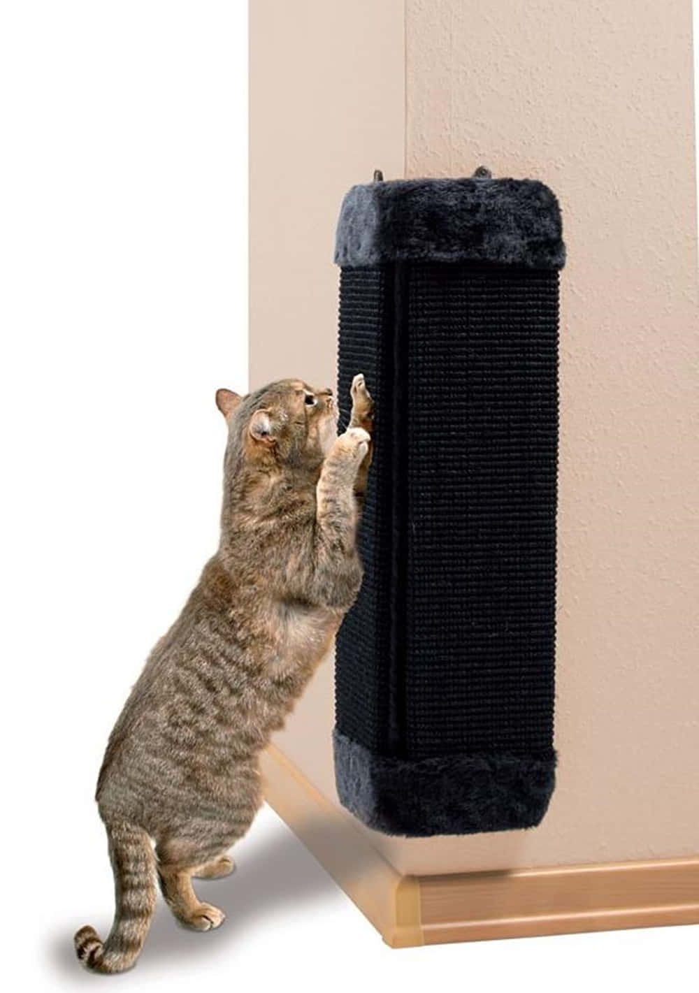Cat Scratching Post 桌布 壁紙 — 一隻虎斑貓向上伸展，抓撓安裝在米色牆上的黑色高垂直柱。
