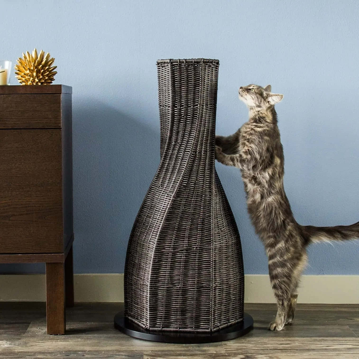 Cat Scratching Post 桌布 壁紙 — 一隻虎斑貓用後腿站立，用爪子抓著一個高大的深色柳條貓樹，背景是柔和的藍色牆壁。