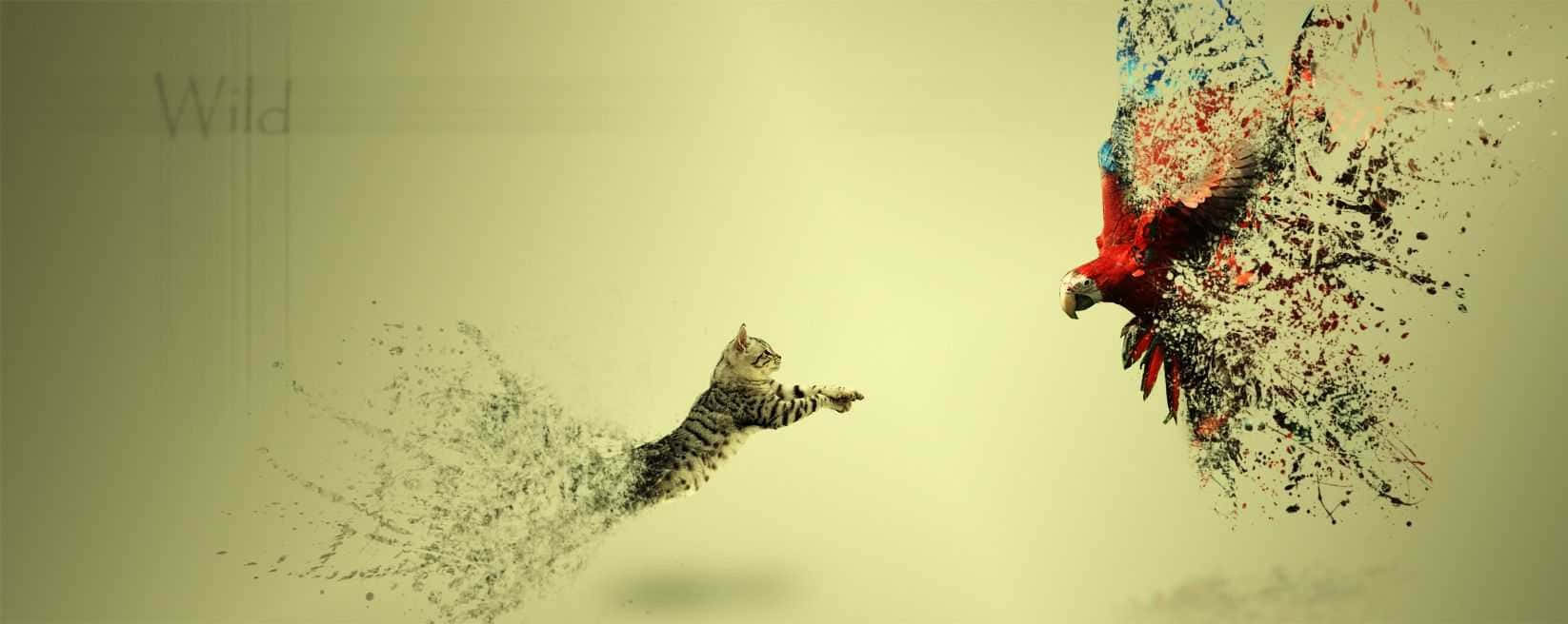 Facebook Cover 桌布 壁紙 — 一隻虎斑貓跳向一隻鮮紅色的鸚鵡，鸚鵡在柔和的米色背景上溶解成色彩繽紛的油漆飛濺。
