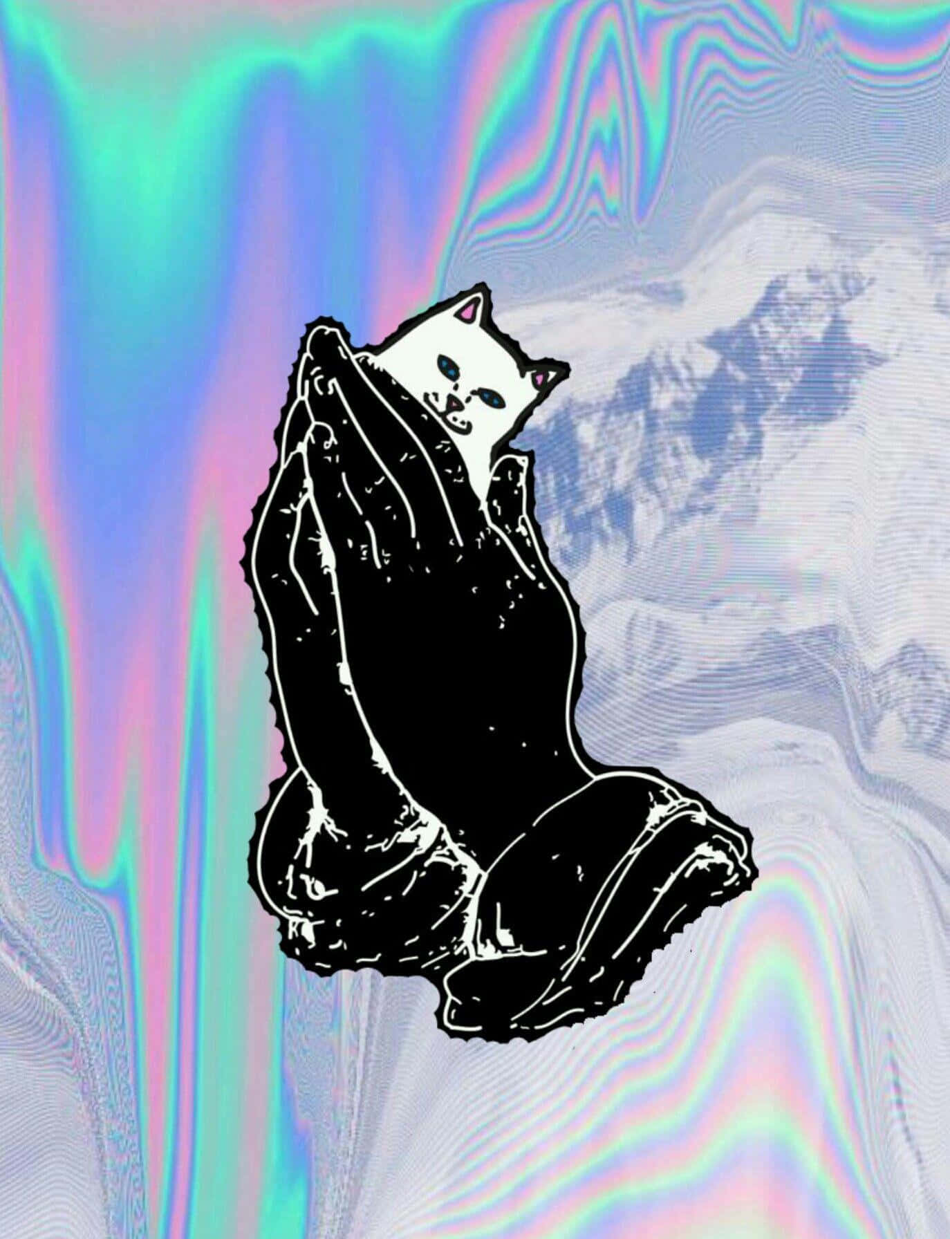 一隻貓喺山前面拎住一個雪球 壁紙
