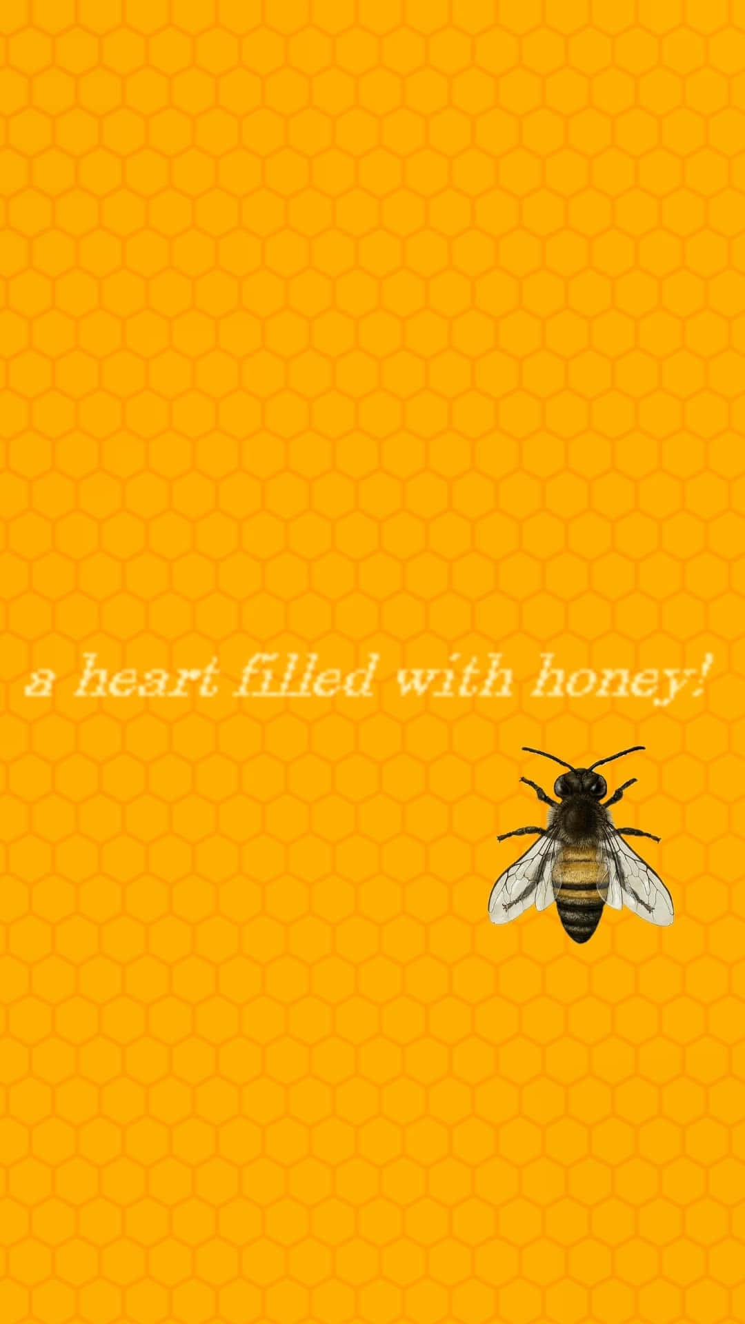 Aesthetic Bee 桌布 壁紙 — 一隻逼真的蜜蜂在充滿活力的橙色蜂巢背景上盤旋，並帶有「一顆充滿蜂蜜的心」這句話！