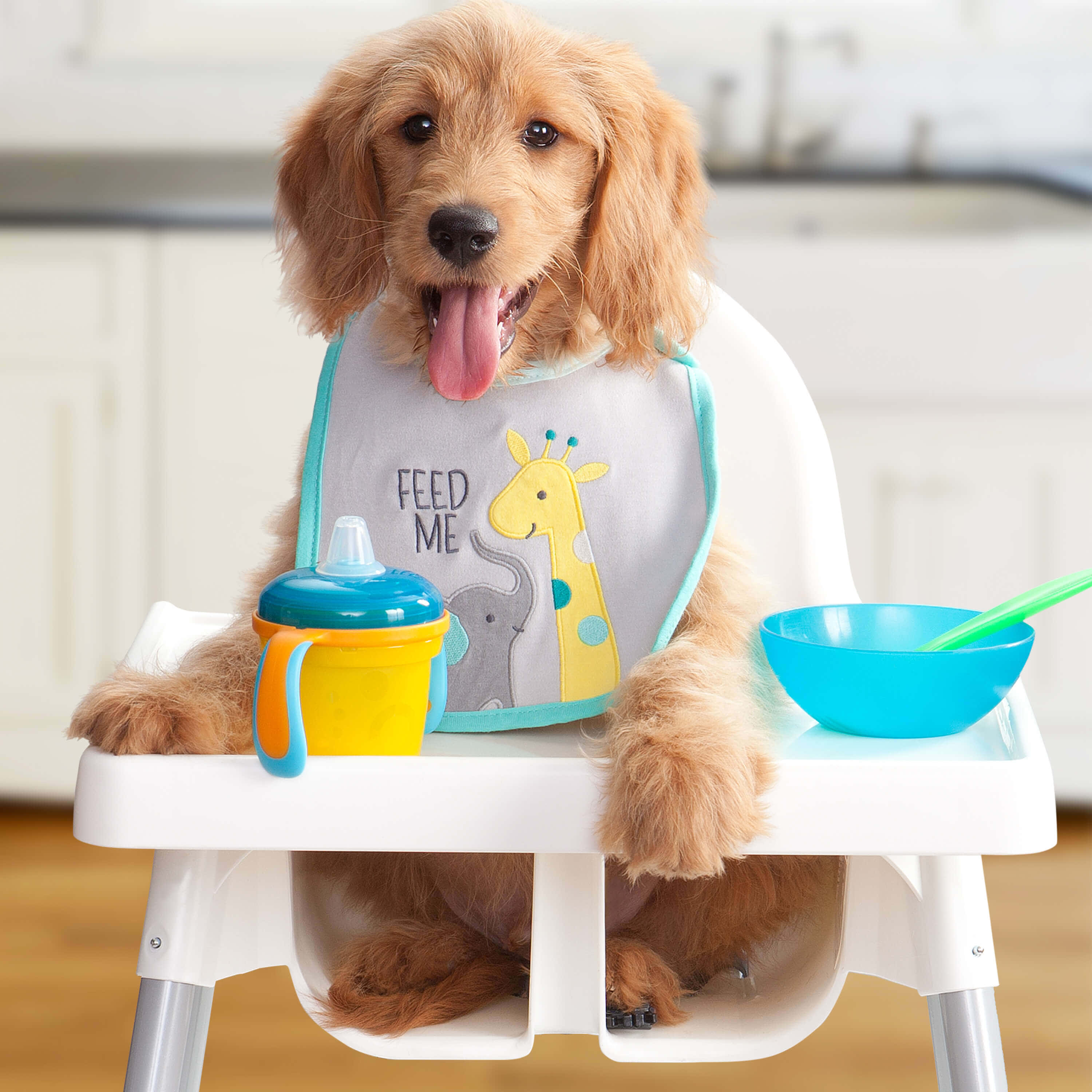 Puppy Dog 桌布 壁紙 — 一隻金毛尋回犬幼犬穿著長頸鹿和大象圍兜，開心地坐在高腳椅上，旁邊有學習杯和碗。