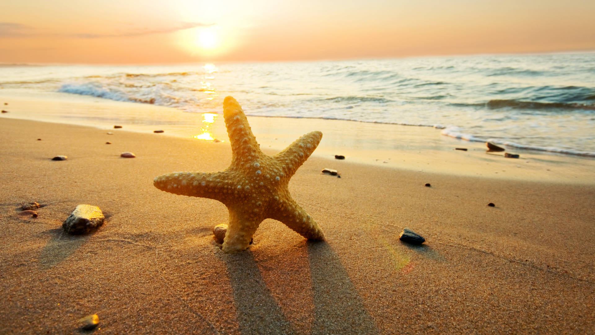 夏日 桌布 壁紙 — 一隻金色海星躺在溫暖的沙灘上，溫柔的海浪在閃爍的夕陽天空下翻滾。