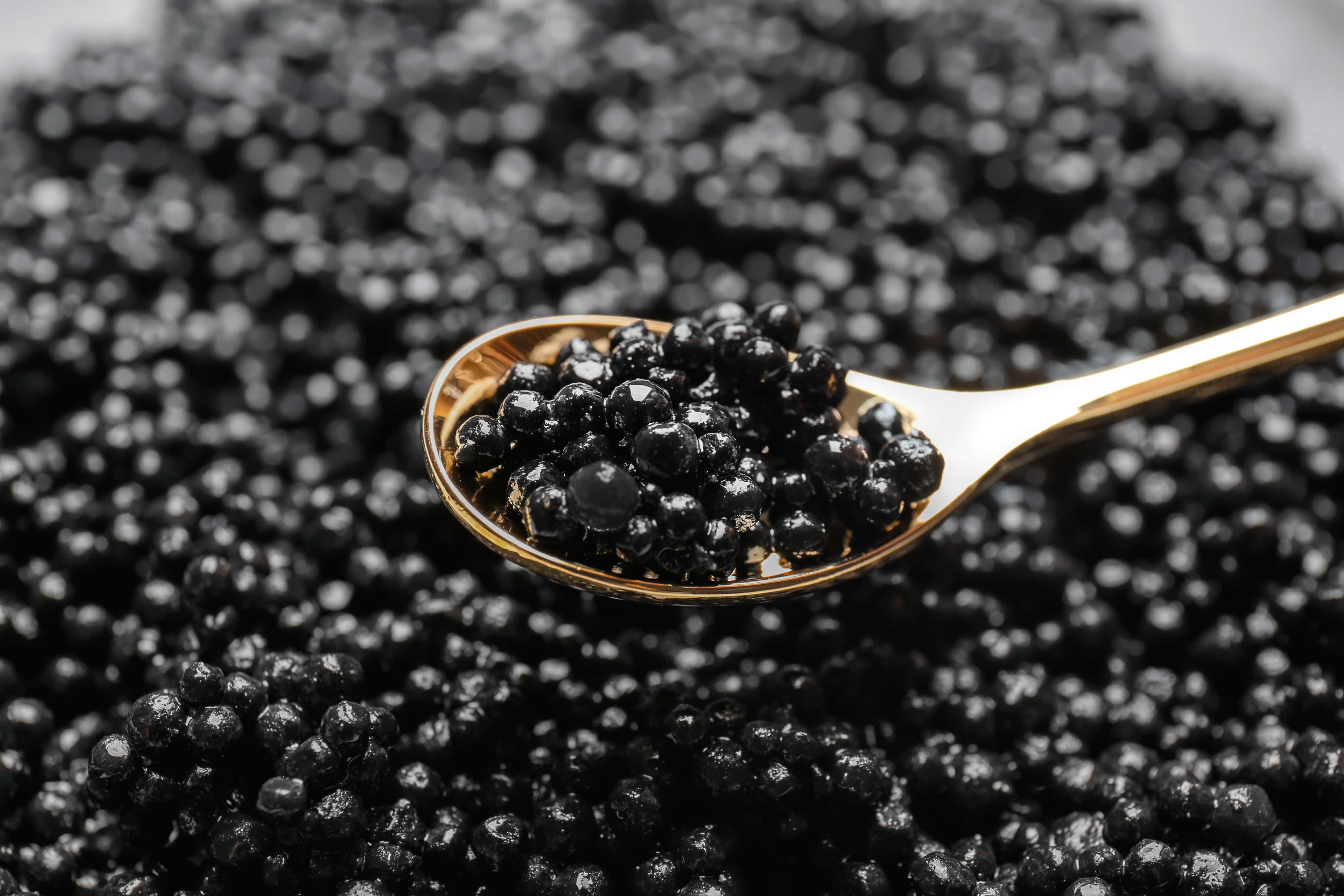 Black Caviar 桌布 壁紙 — 一隻金色湯匙盛著閃亮的黑魚子醬，放在更多魚子醬上，景深較淺。
