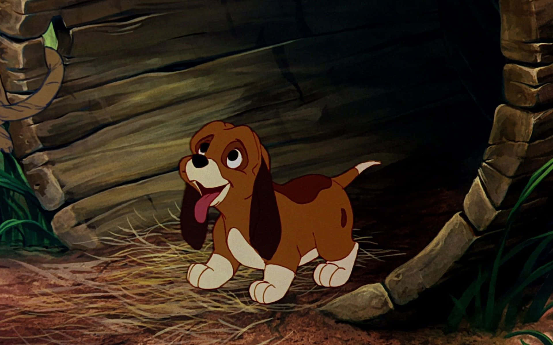 the fox and the hound 桌布 壁紙 — 一隻開心嘅動畫巴吉度獵犬幼犬，有垂耳同粉紅色舌頭，企喺一個鋪滿稻草嘅 rustic 石洞入面。