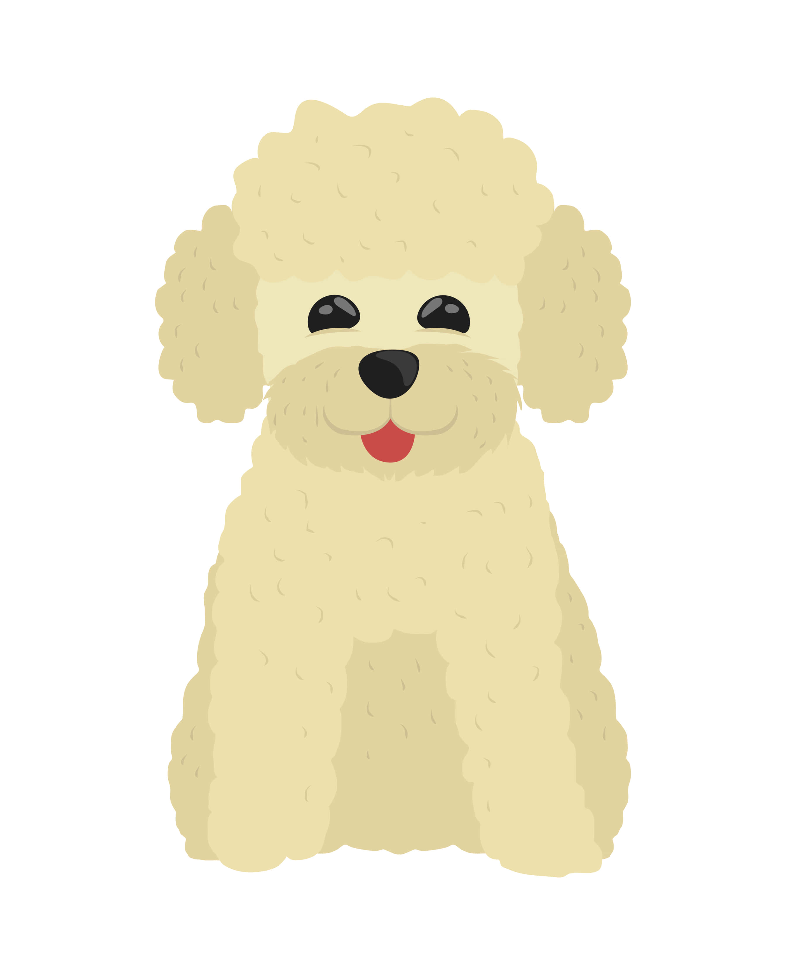 Poodle 桌布 壁紙 — 一隻開心嘅奶油色捲毛貴婦狗喺純白色背景前伸出舌頭坐得好開心。