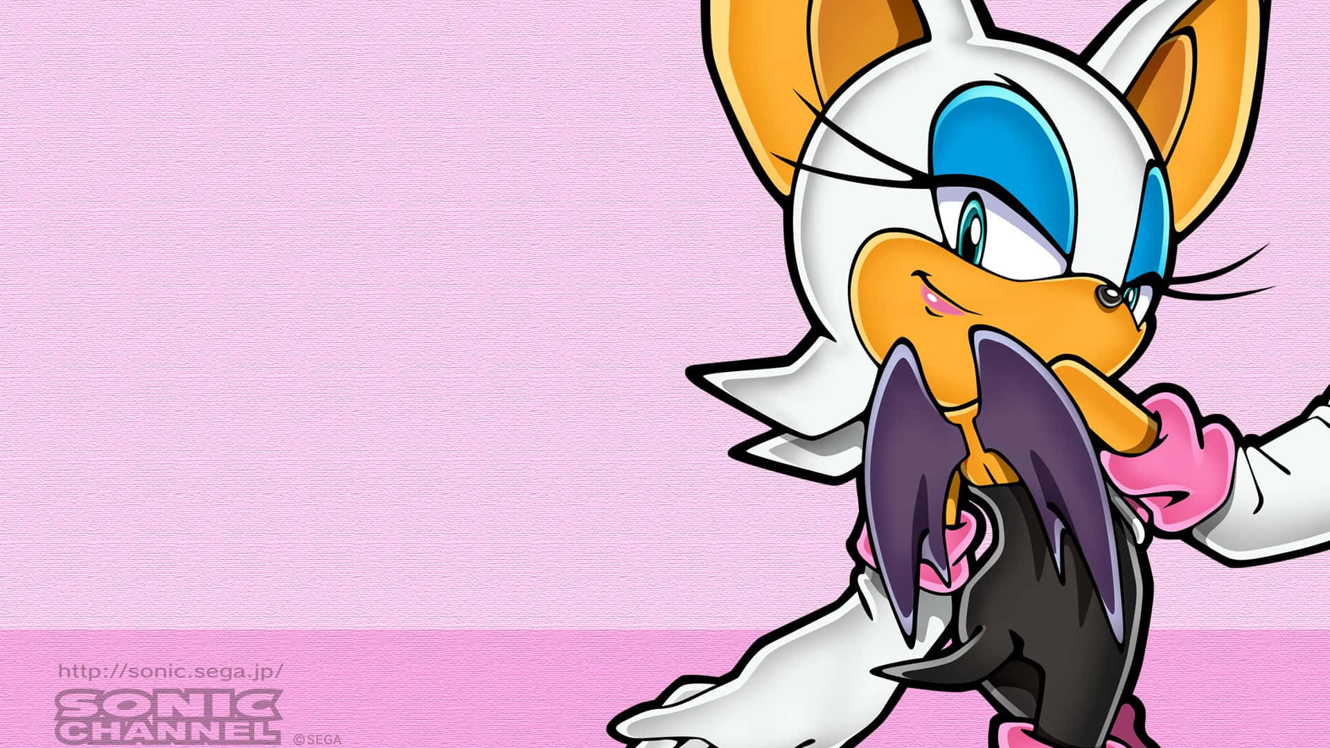 Rouge The Bat 桌布 壁紙 — 一隻開心的動畫雌性狐狸，有白色毛髮、橙色耳朵和藍色眼睛，在柔和的粉紅色背景前微笑著拿著一隻黑色蝙蝠。