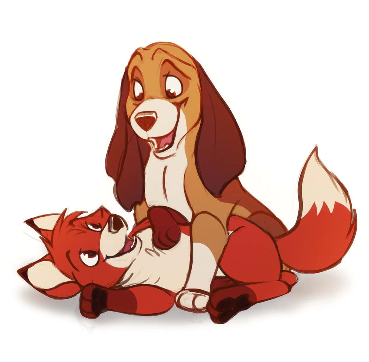 the fox and the hound 桌布 壁紙 — 一隻開心的巴吉度獵犬在純白色背景前，頑皮地用鼻子蹭著一隻放鬆的赤狐。