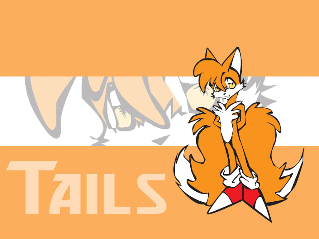 動漫角色Tails有兩條尾巴，站在橙色和白色條紋前。
