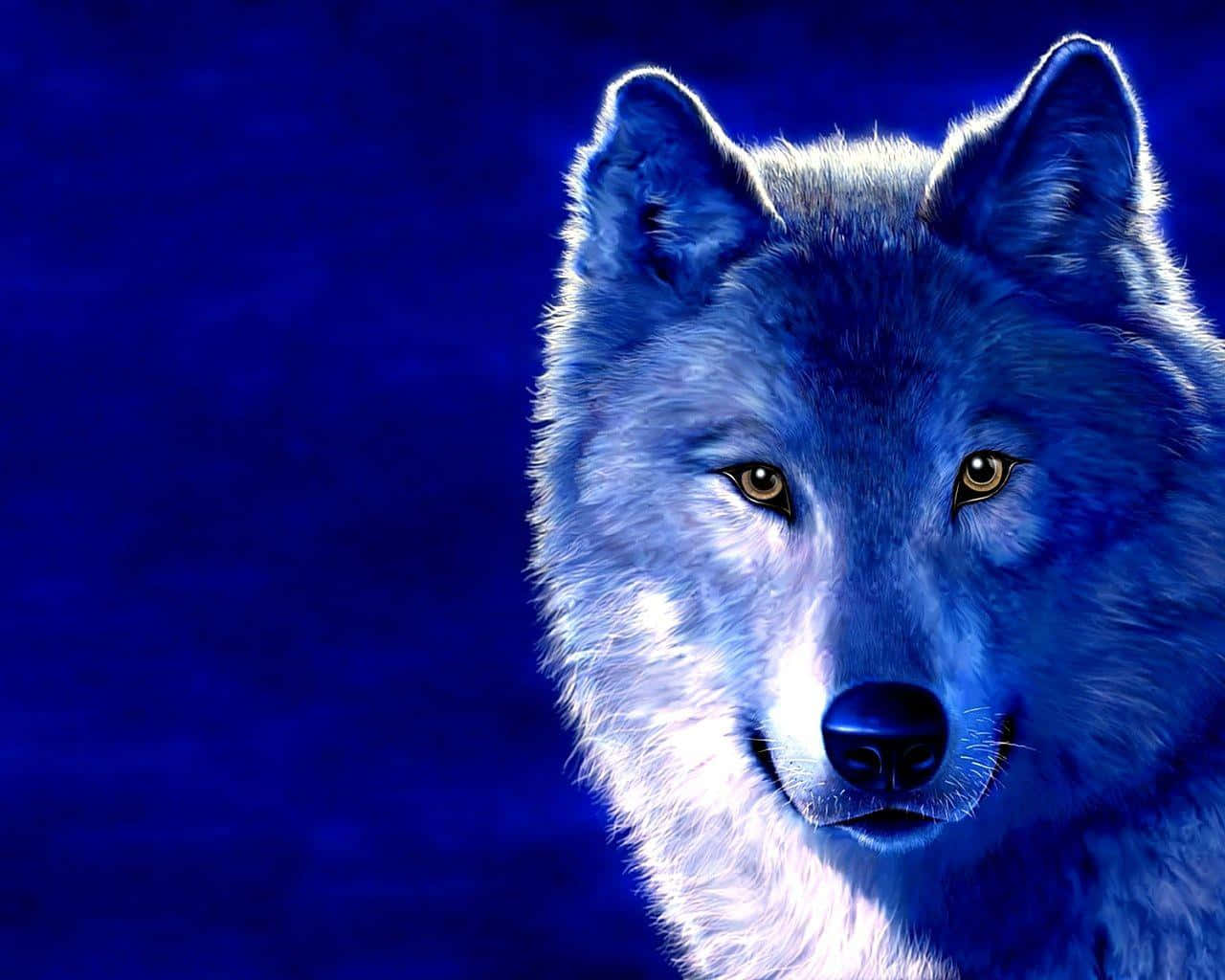 3d Wolf 桌布 壁紙 — 一隻雄偉的白狼，有著銳利的琥珀色眼睛，在深藍色漸變背景前凝視著。