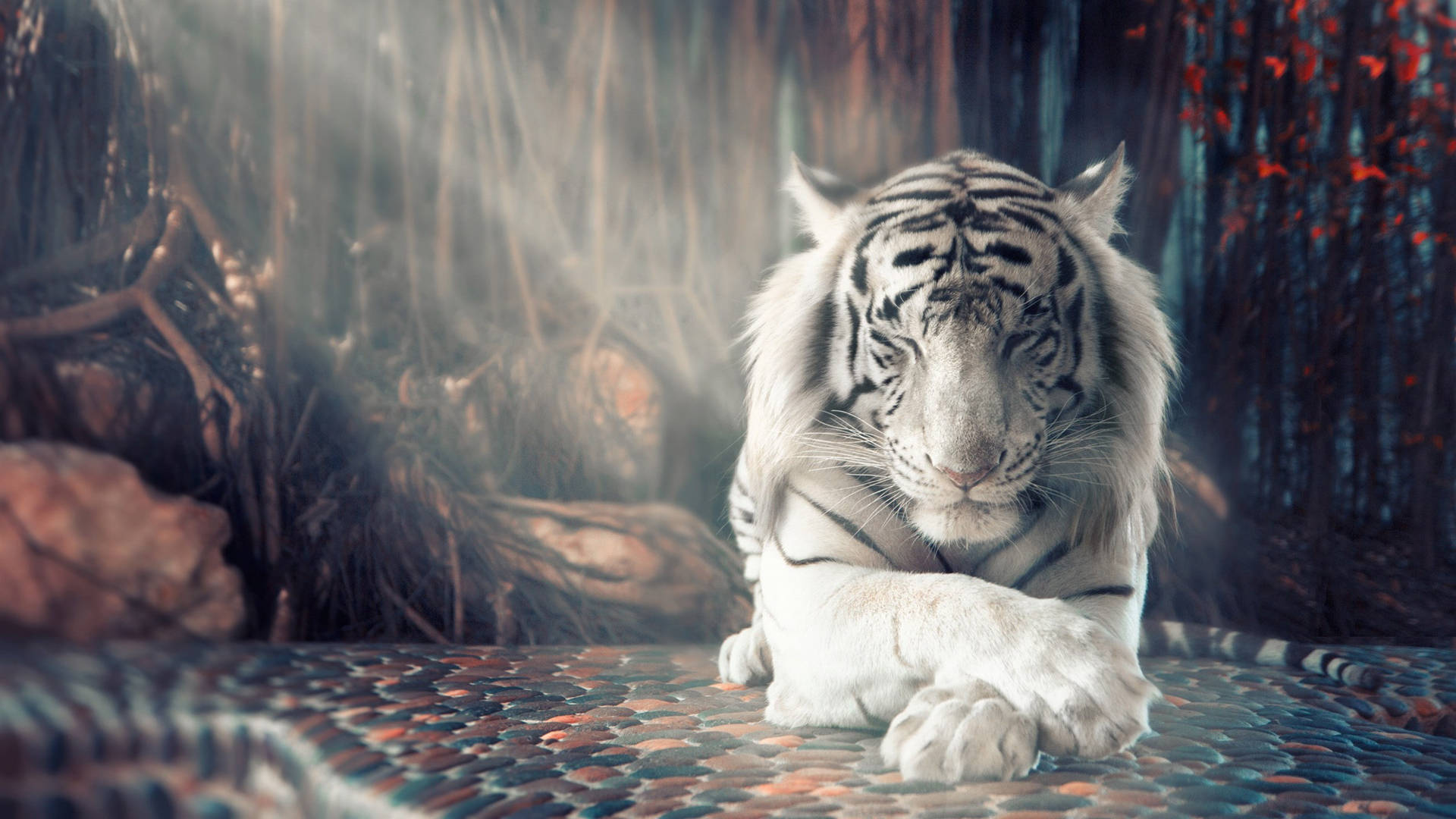harimau 桌布 壁紙 — 一隻雄偉的白虎平靜地躺在馬賽克地板上，柔和的光線穿過霧氣瀰漫的森林背景。