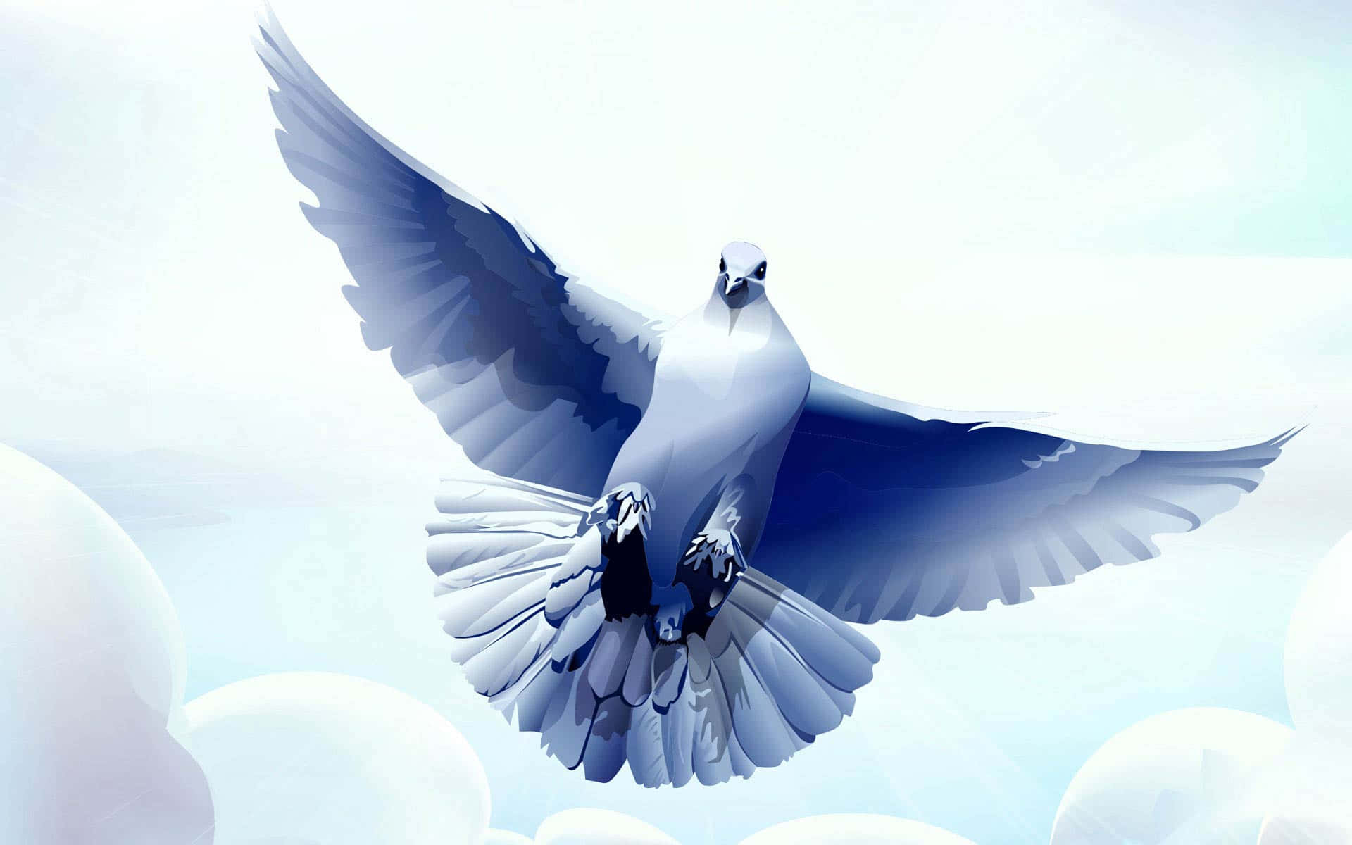 Dove 桌布 壁紙 — 一隻雄偉的白鴿在柔和的藍白天空中優雅地翱翔，翅膀展開。