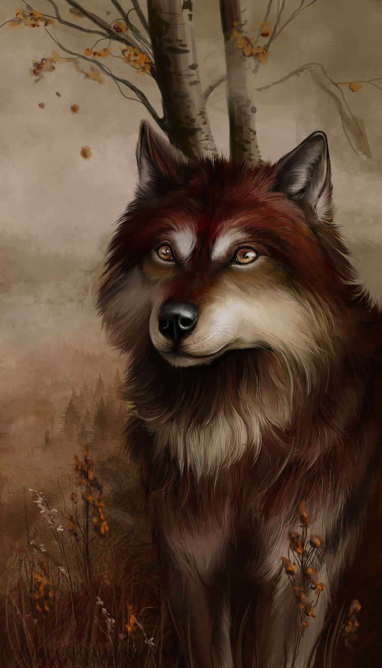 Wolf In Autumn 桌布 壁紙 — 一隻雄偉的紅狼，有著銳利的琥珀色眼睛，在霧氣瀰漫的秋日森林中警覺地站立，周圍有白樺樹和落葉。