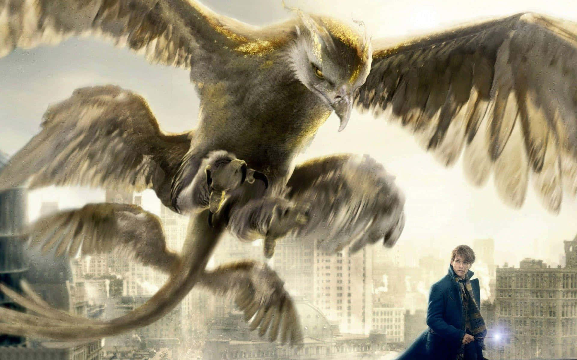 Fantastic Beasts 桌布 壁紙 — 一隻雄偉的金雕在都市景觀上空動態翱翔，而一名身穿藍色外套的年輕男子站在下方。