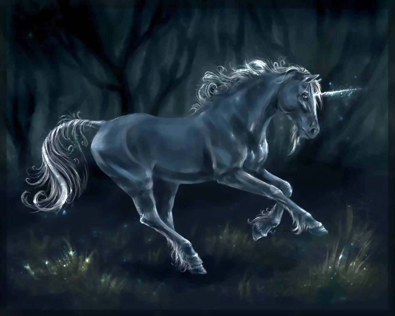 3d Unicorn 桌布 壁紙 — 一隻雄偉的銀色獨角獸在黑暗的魔法森林中奔馳，蹄子和角閃閃發光。