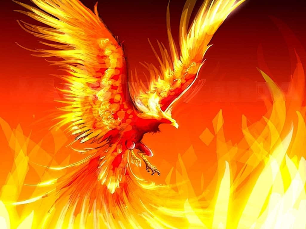 Flames 桌布 壁紙 — 一隻雄偉的鳳凰，擁有火紅的橙色和黃色羽毛，翱翔於由紅色和橙色火焰燃燒的天空中。
