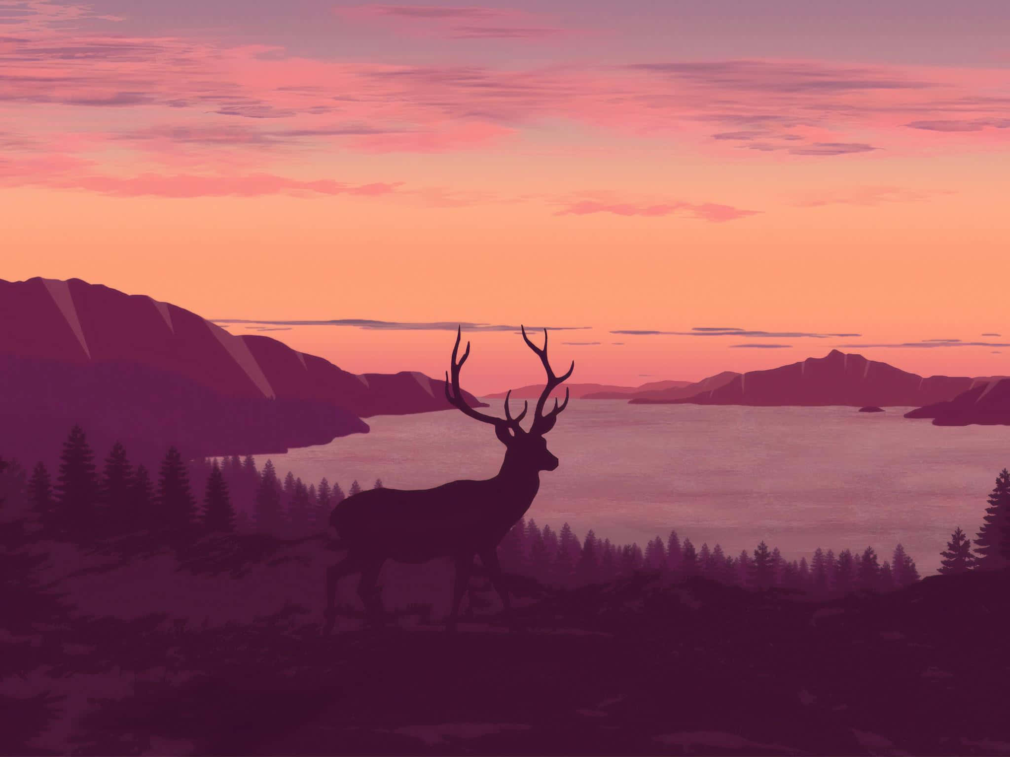 Minimalist Sunset 桌布 壁紙 — 一隻雄偉的鹿剪影站在山丘上，俯瞰著日落時分粉紅色和橙色天空下的寧靜湖泊。