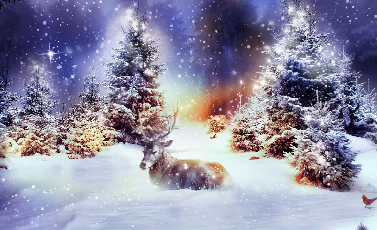 Winter Christmas 桌布 壁紙 — 一隻雄偉的鹿在雪地森林中休息，天空星光閃爍，暮色中帶有發光的極光和飄落的雪花。