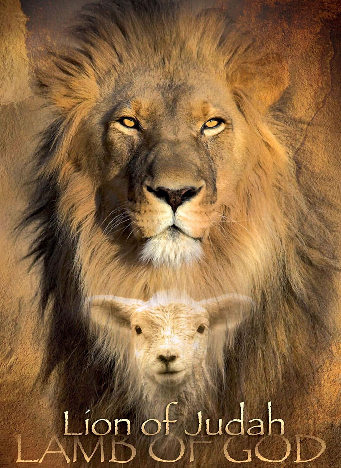 Lion Of Judah 桌布 壁紙 — 一隻雄獅的臉龐籠罩在羔羊的頭上，背景是帶有紋理的金色背景和宗教文字。