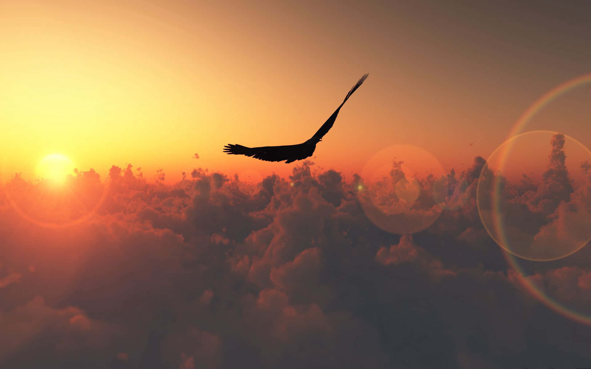 Freedom 桌布 壁紙 — 一隻雄鷹在日落時分翱翔於雲海之上，鏡頭光暈散發出溫暖的橙色光芒。