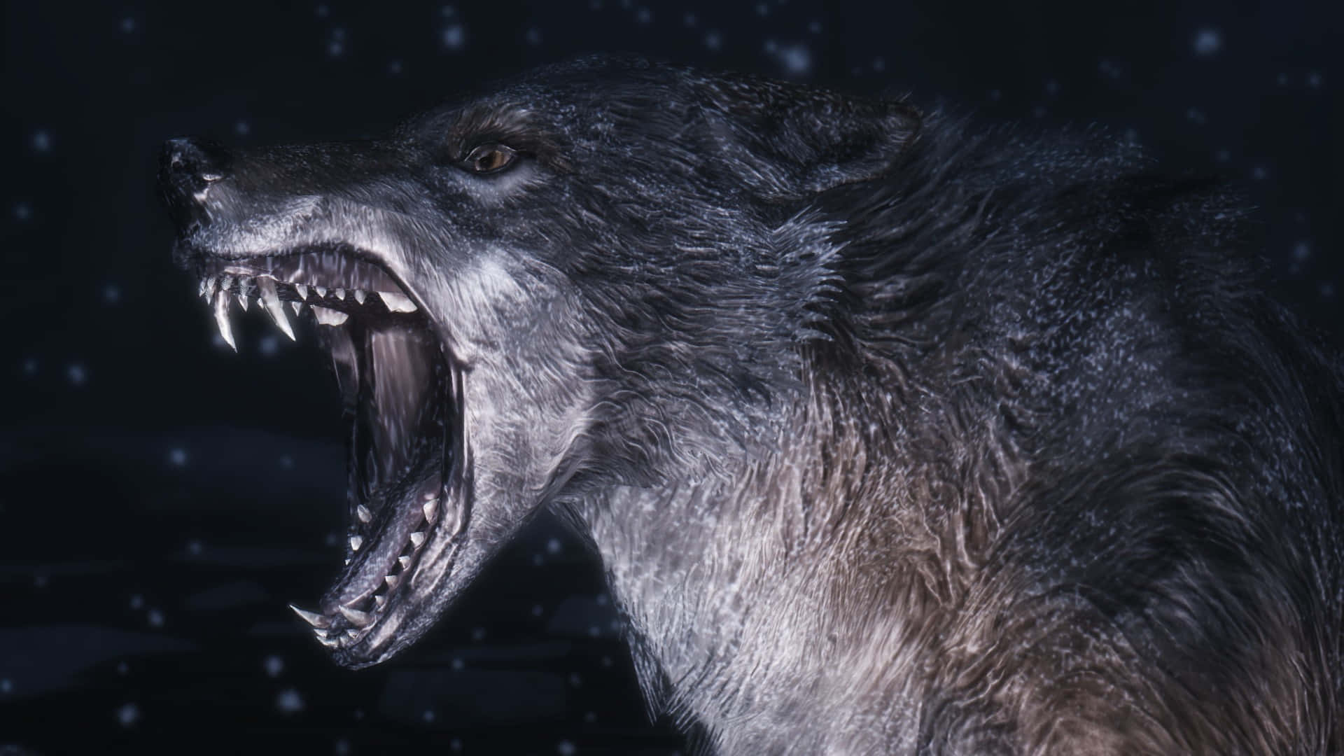 Angry Wolf 桌布 壁紙 — 一隻露出牙齒的兇猛狼在星空下的黑暗雪景中咆哮。
