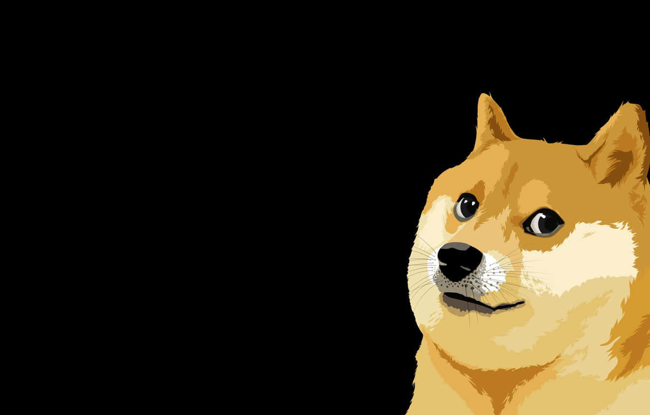 Dog Memes 桌布 壁紙 — 一隻風格化的柴犬帶着得意的表情，直視純黑色背景。
