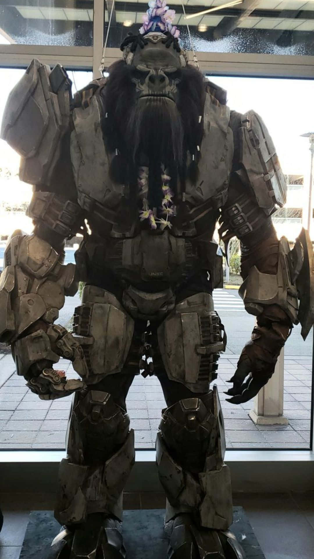 Atriox 桌布 壁紙 — 一隻高大的大猩猩穿著重型戰鬥盔甲，威風凜凜地站在室內玻璃窗附近。