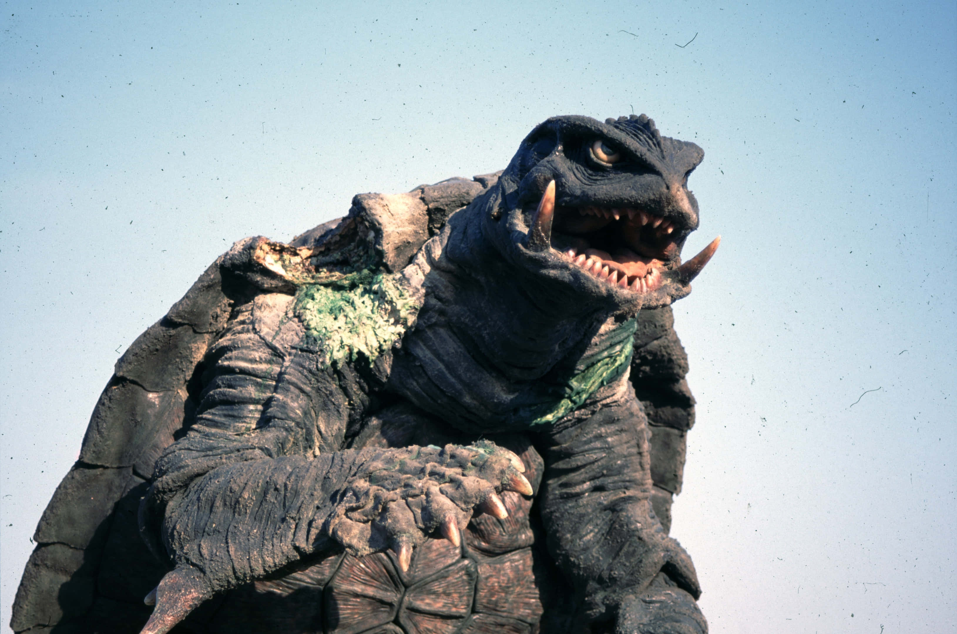 Gamera 桌布 壁紙 — 一隻高聳的怪獸，擁有堅硬的外殼和鋒利的牙齒，對著晴朗的藍天咆哮。