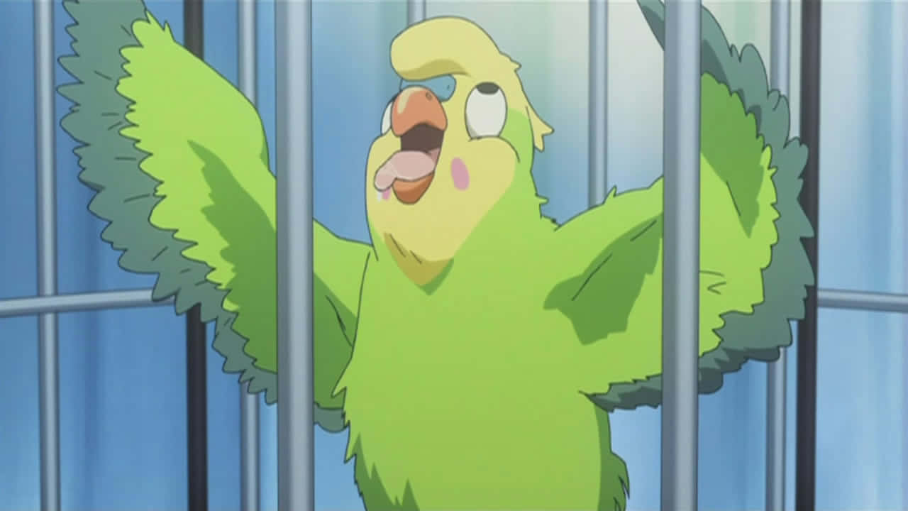 Toradora Inko 桌布 壁紙 — 一隻鮮綠色卡通鸚鵡張開翅膀和張開喙，在藍色背景的金屬欄杆後面尖叫。