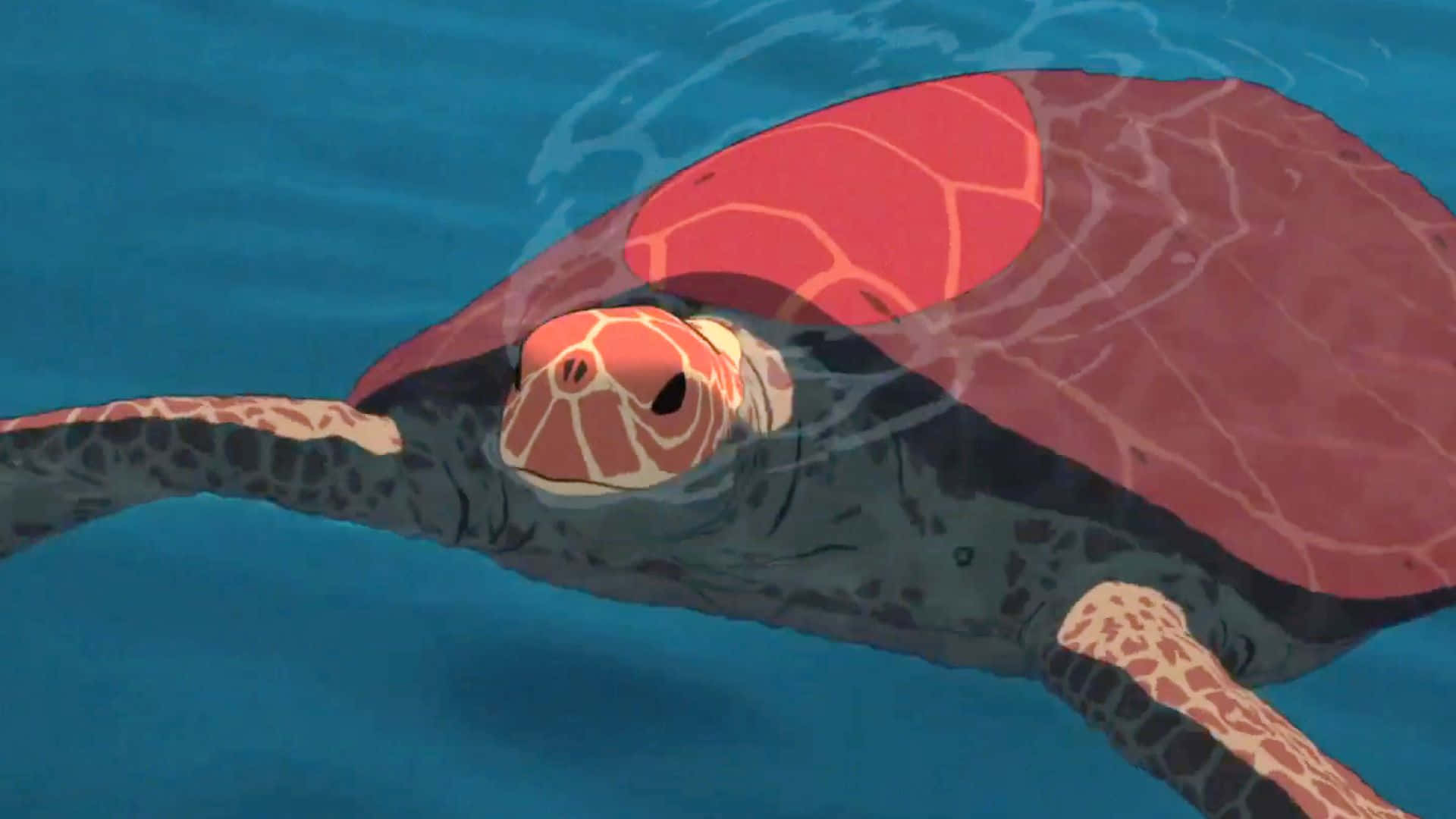 The Red Turtle 桌布 壁紙 — 一隻鮮艷的紅灰色海龜在清澈的藍色海水中優雅地滑行，帶有輕柔的漣漪。
